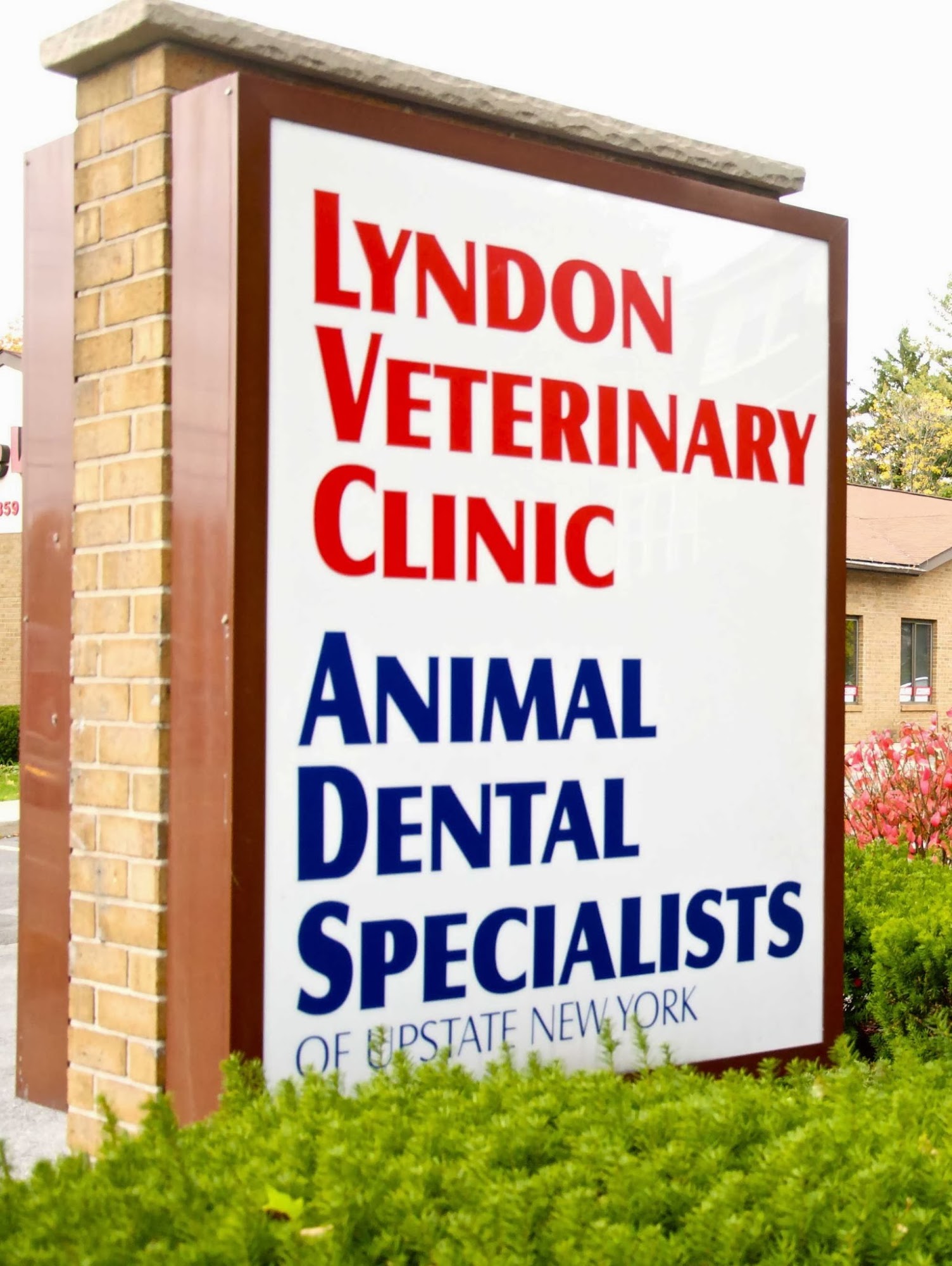 Lyndon Veterinary Clinic