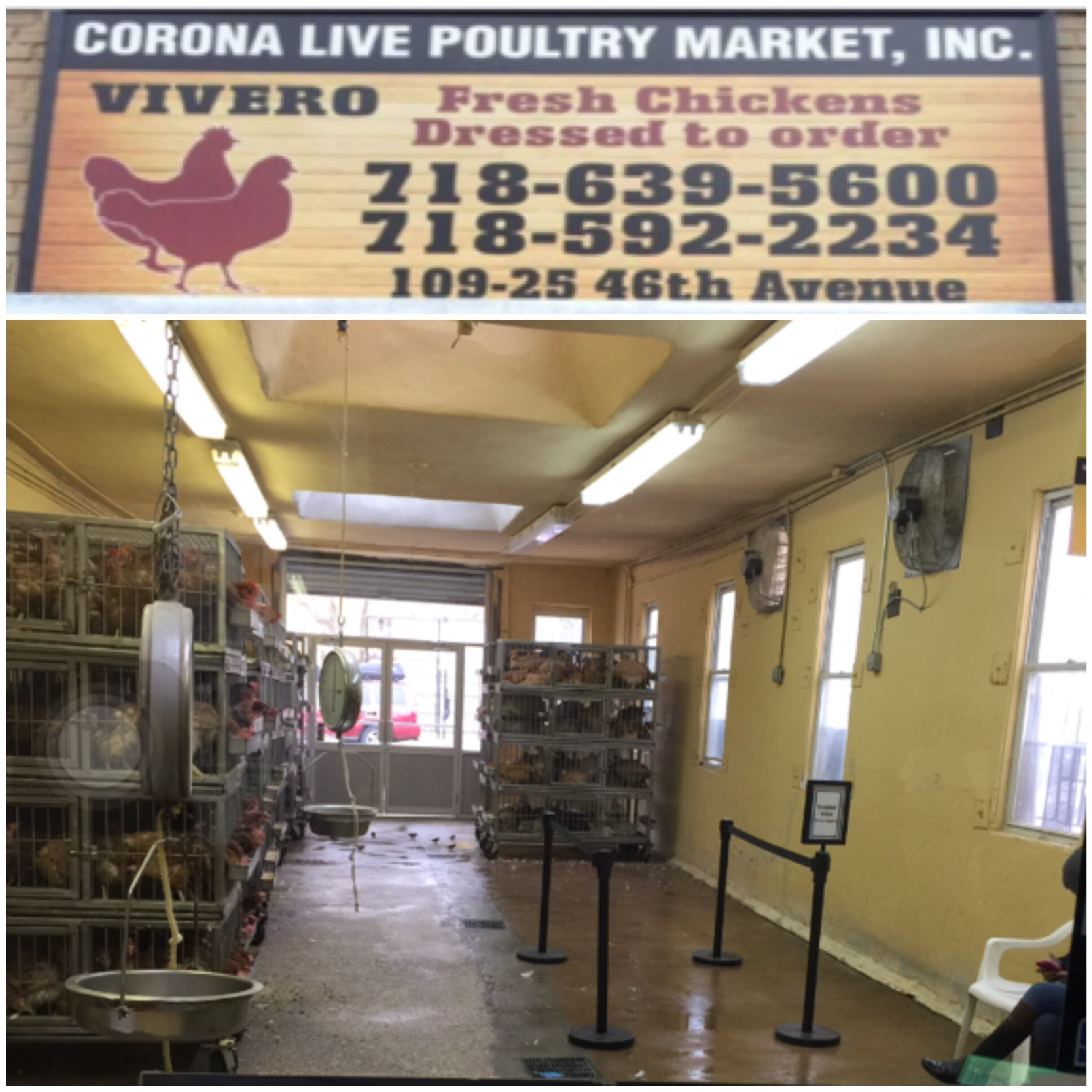 Corona Live Poultry Market, Inc.