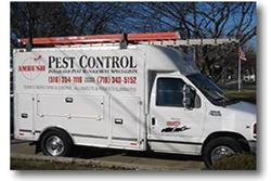 Ambush Pest Control Pro Ltd
