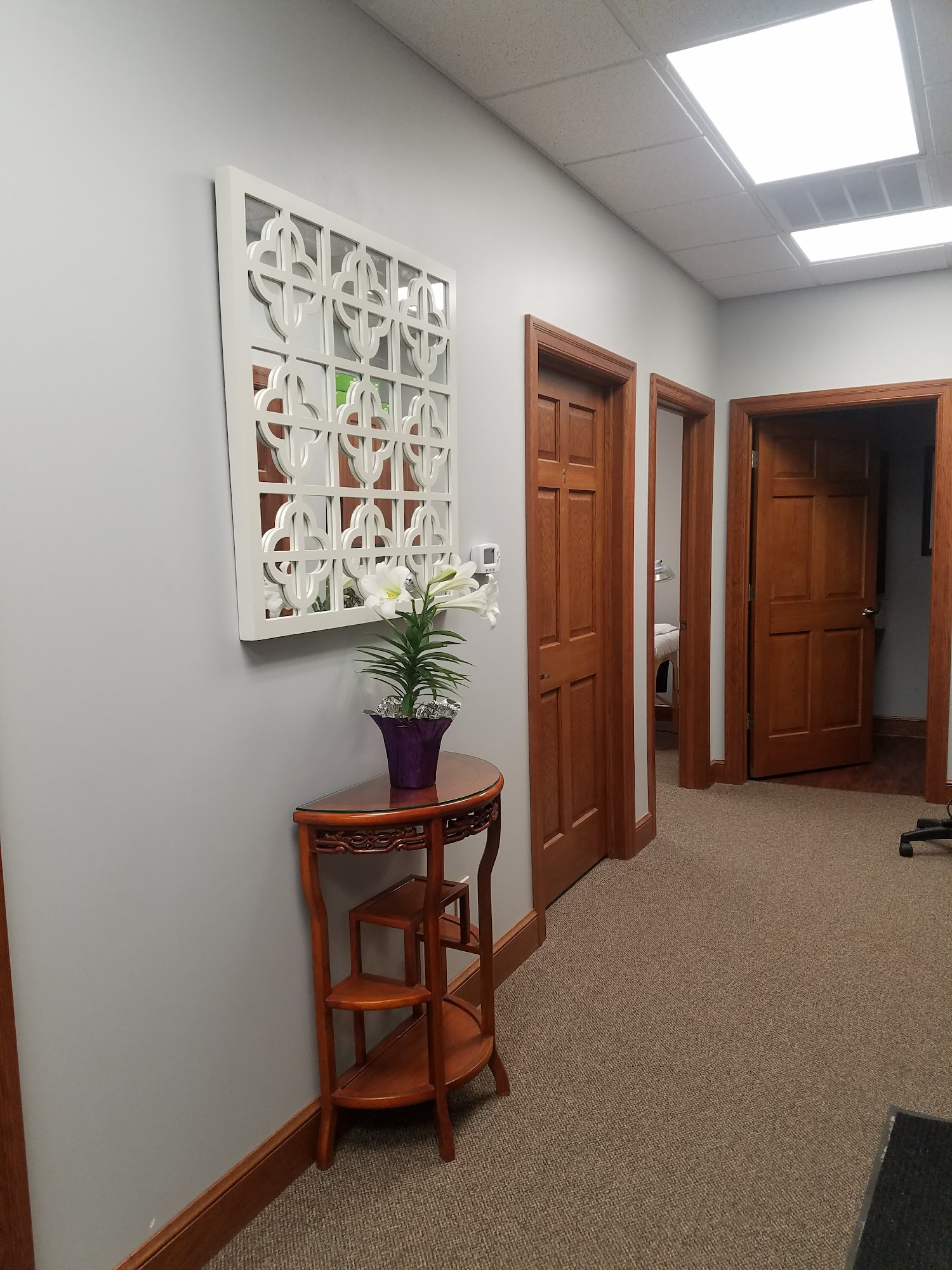 Qi Acupuncture and Wellness