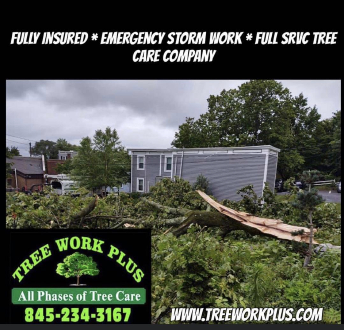 Tree Work Plus 1413 Albany Post Road, Gardiner New York 12525