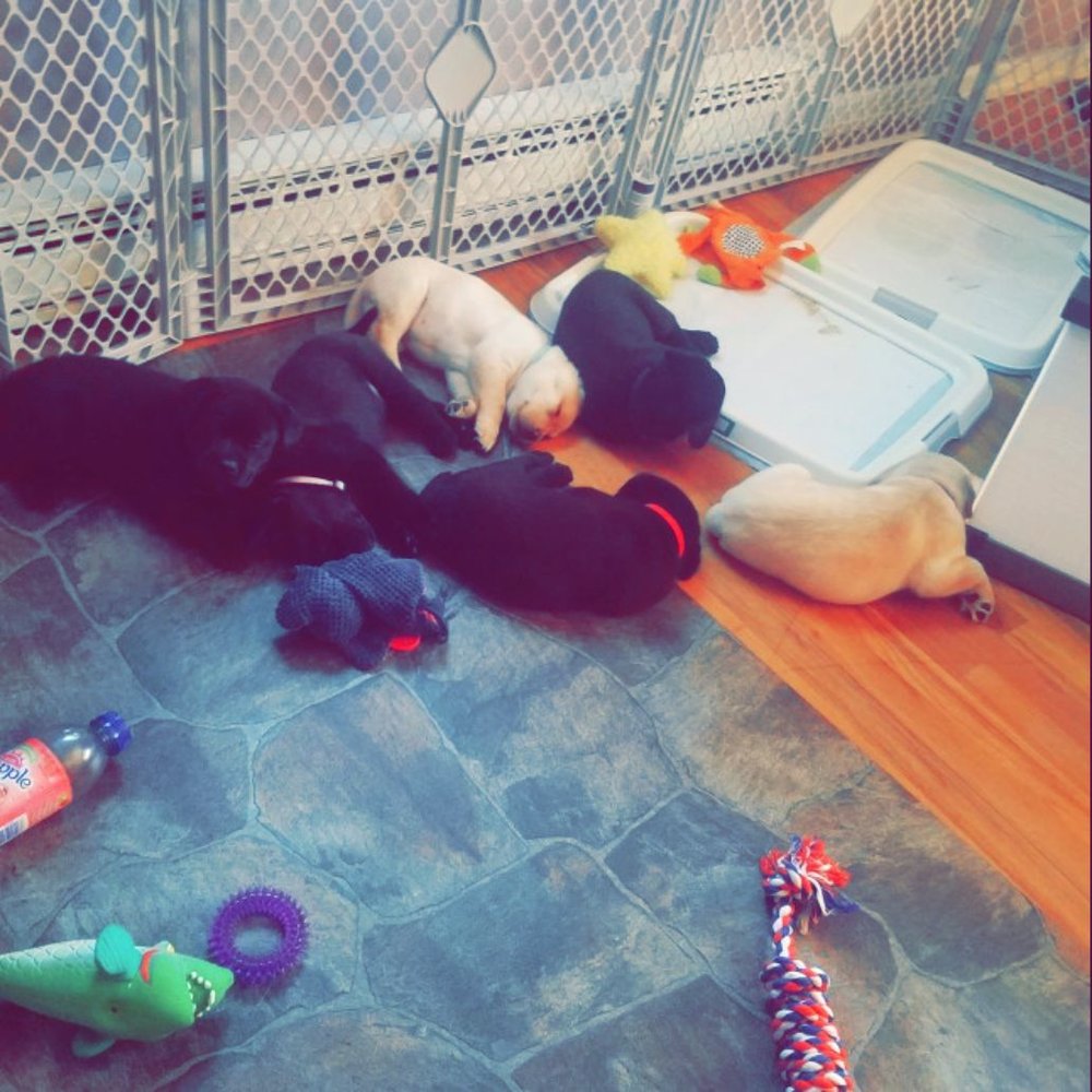 Photo credit: 