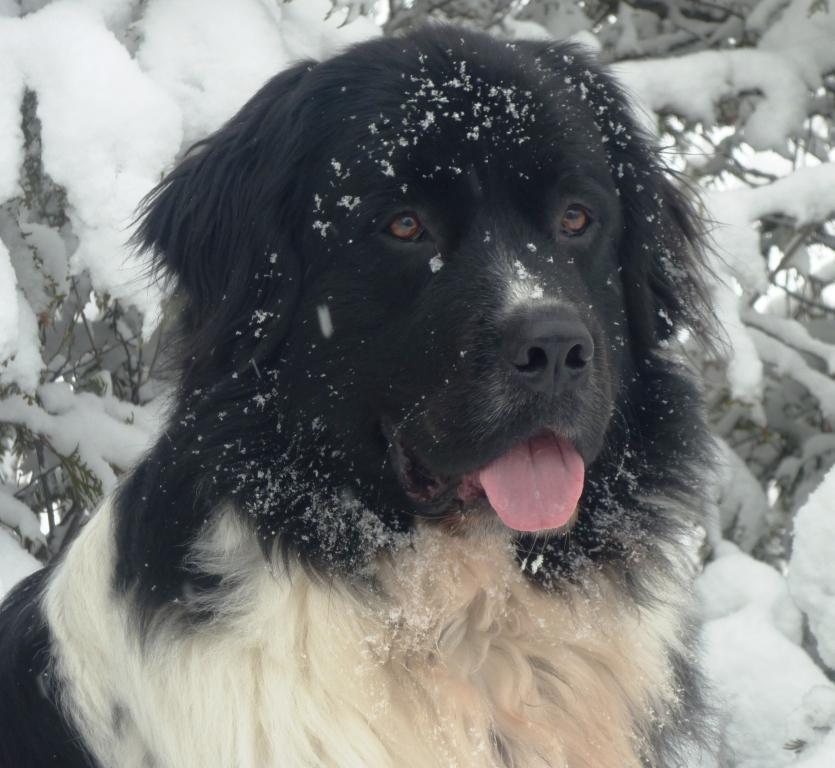 Ebb Tide Kennels & Stables Holley