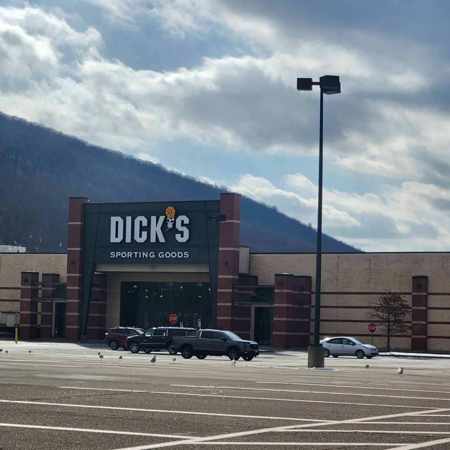 DICK'S Sporting Goods