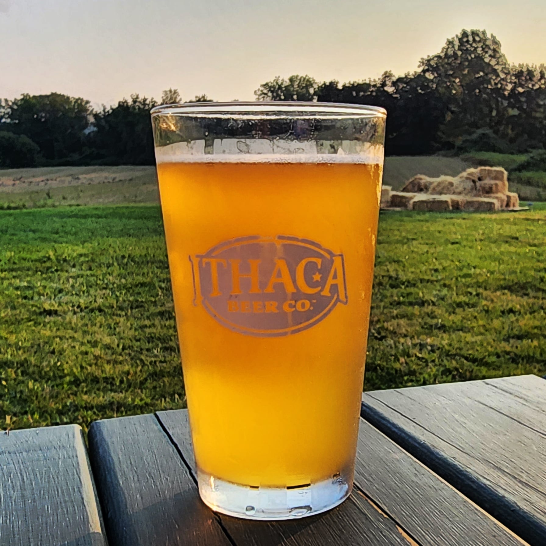 Ithaca Beer Co