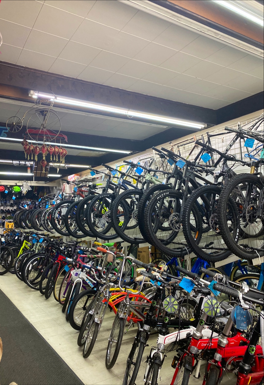 Cigi Bicycle Shop