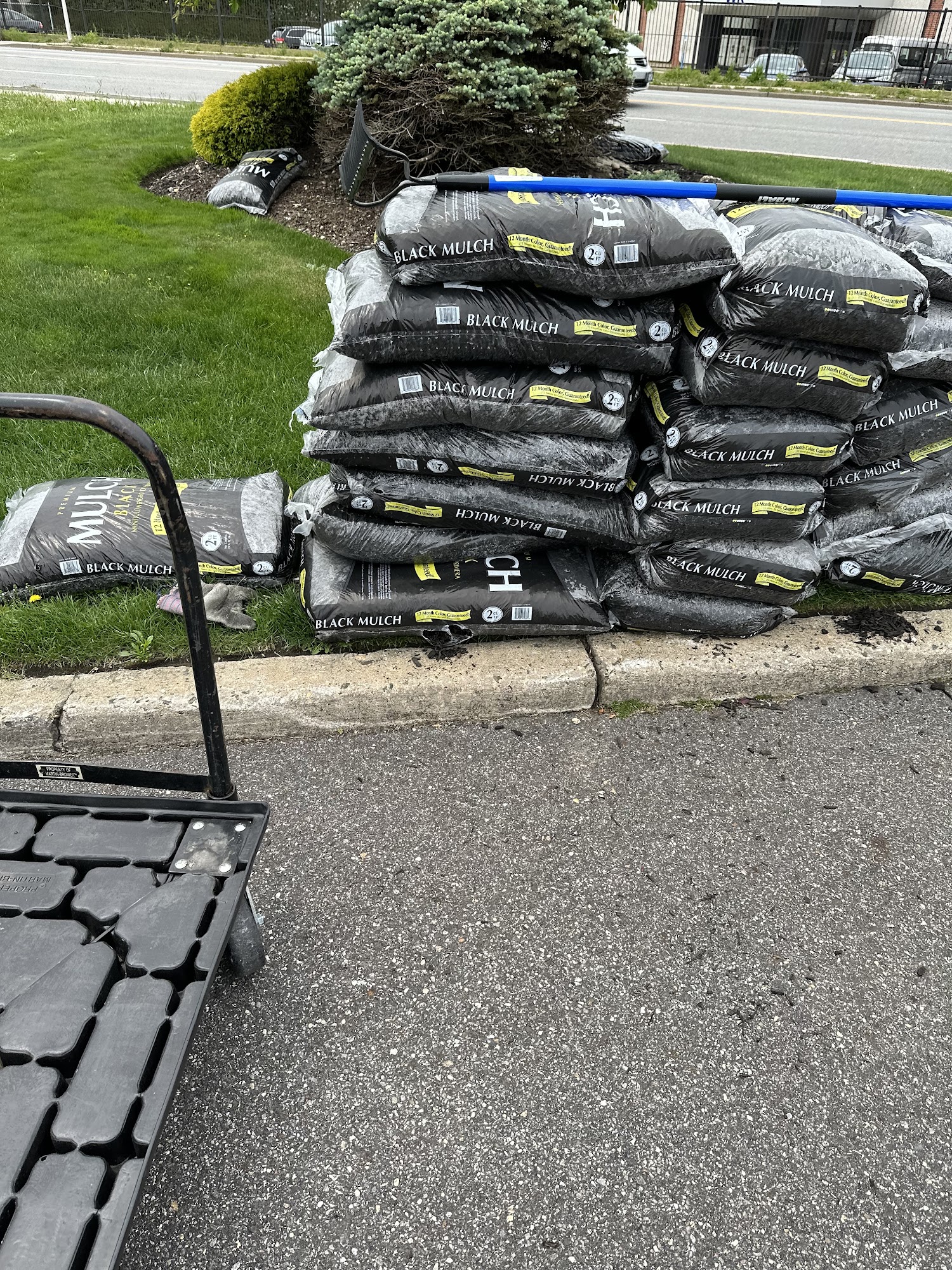 Ceramic Pro auto spa