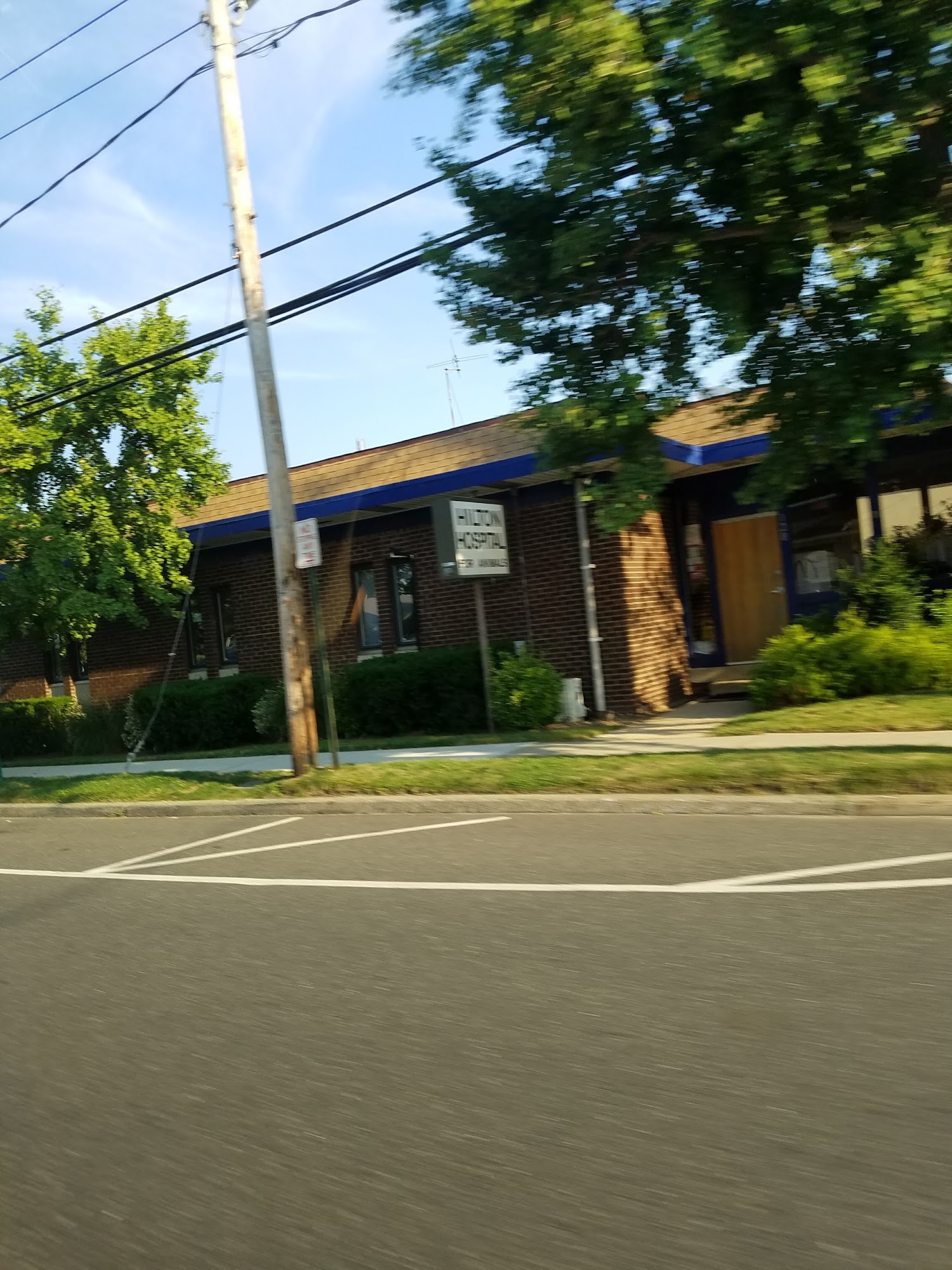 Hilton Hospital for Animals Lynbrook