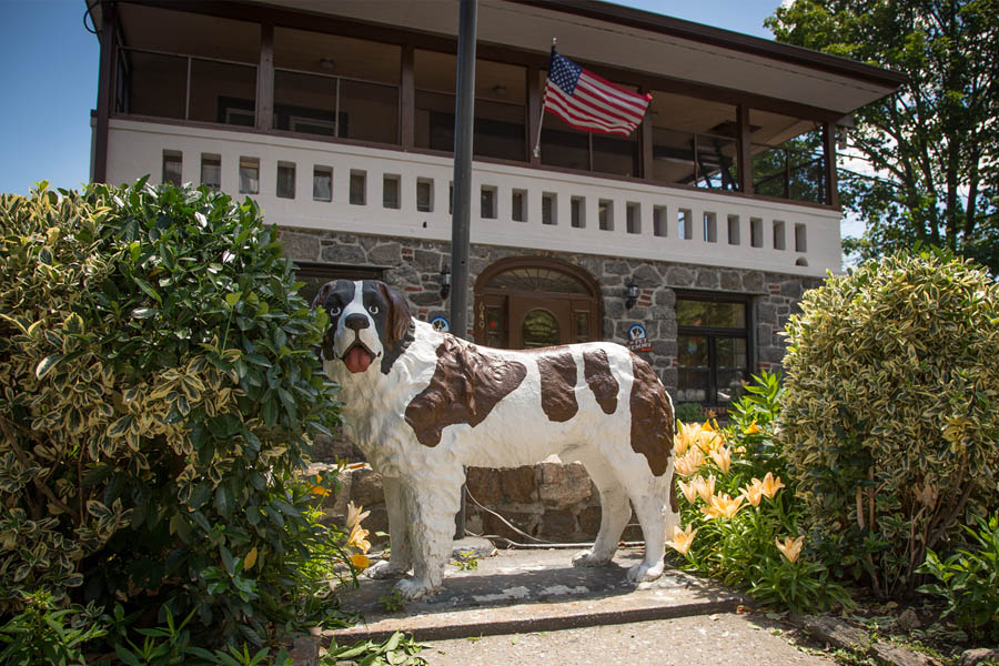 Mamaroneck Veterinary Hospital