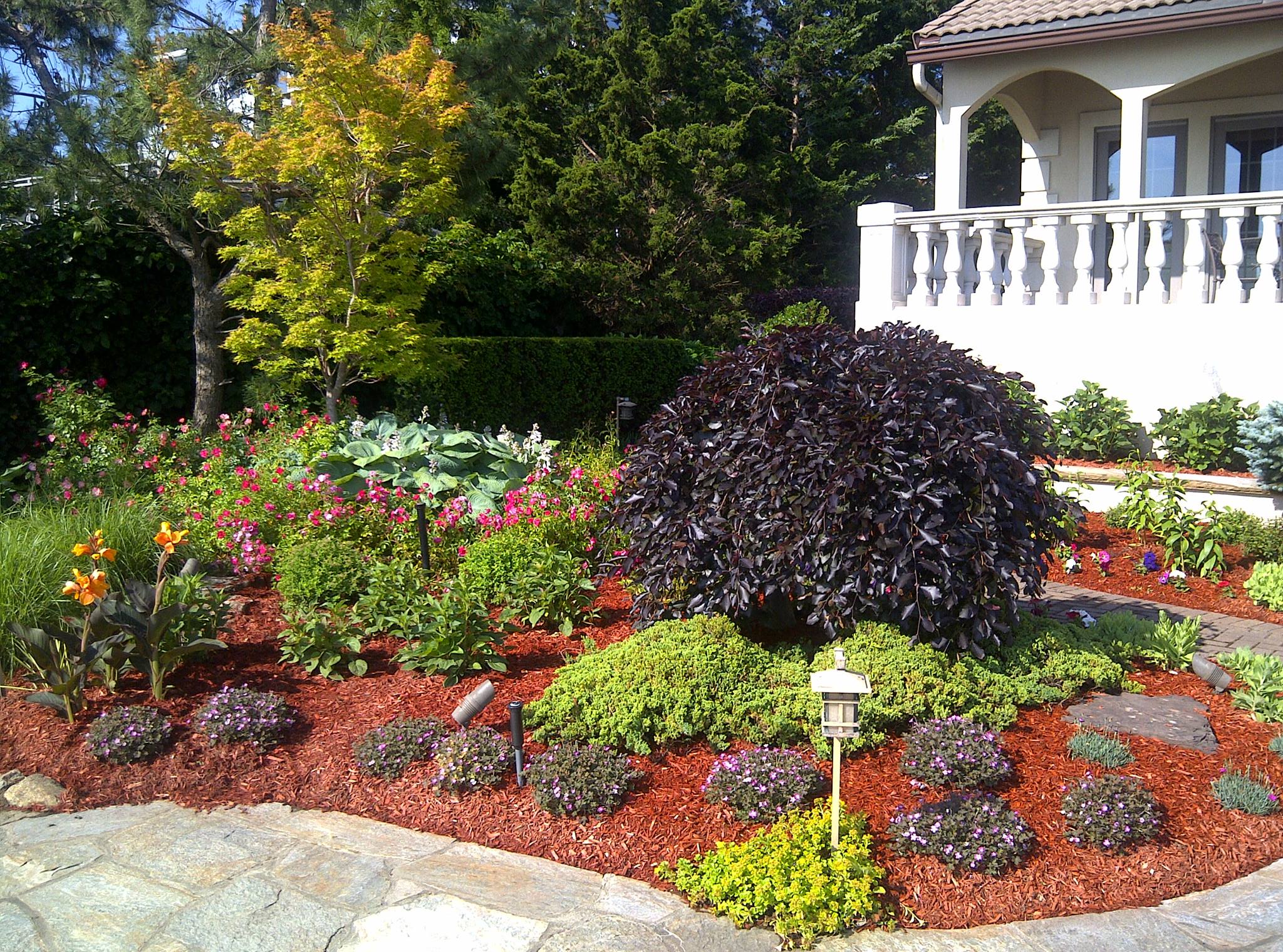 FN Landscaping LLC by Frank Novello