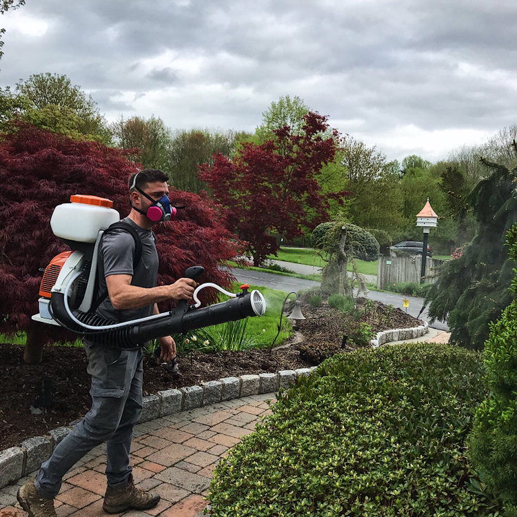 Westchester Organics | Mosquito & Tick Control