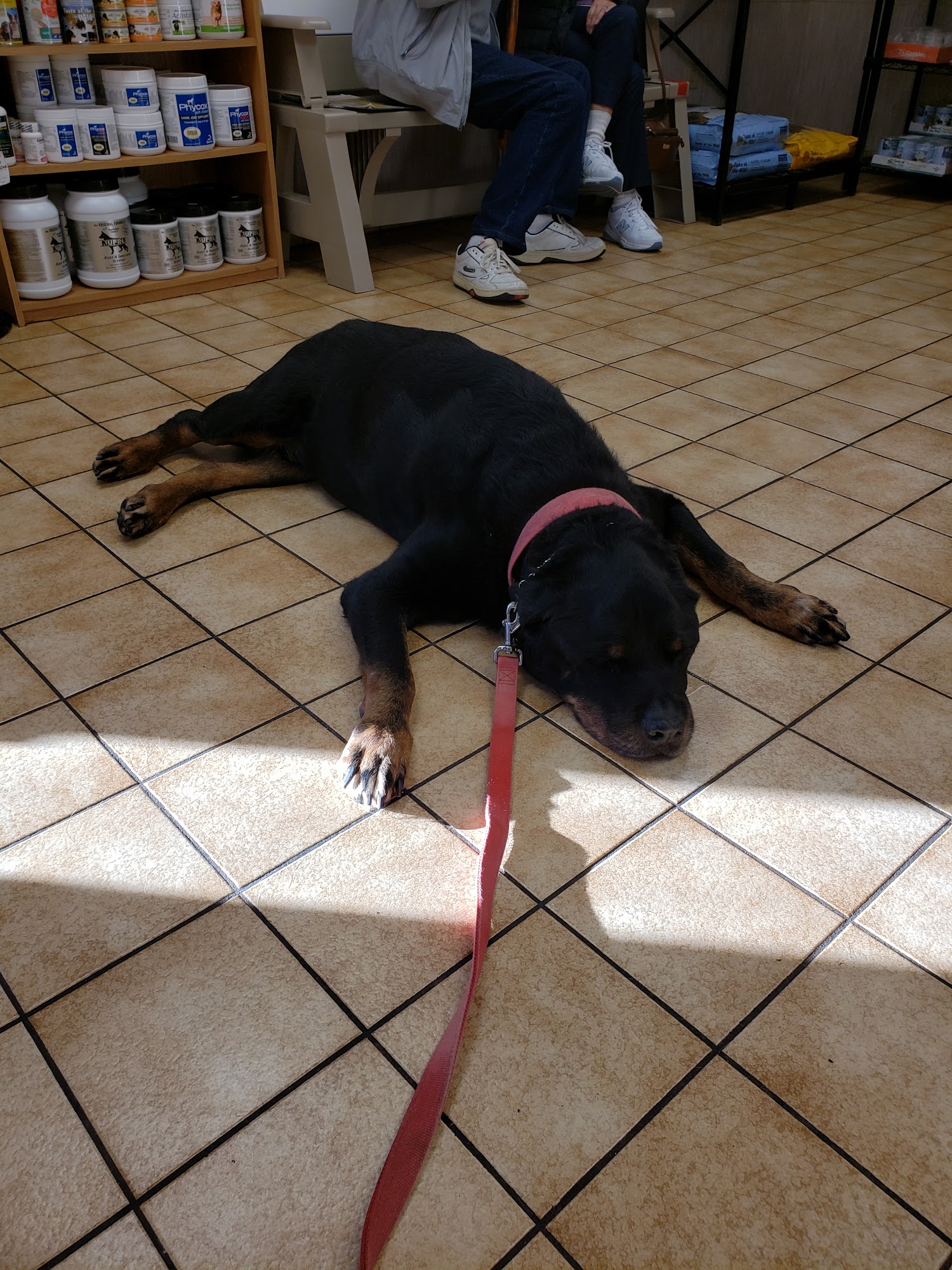 Marcellus Veterinary Hospital Marcellus