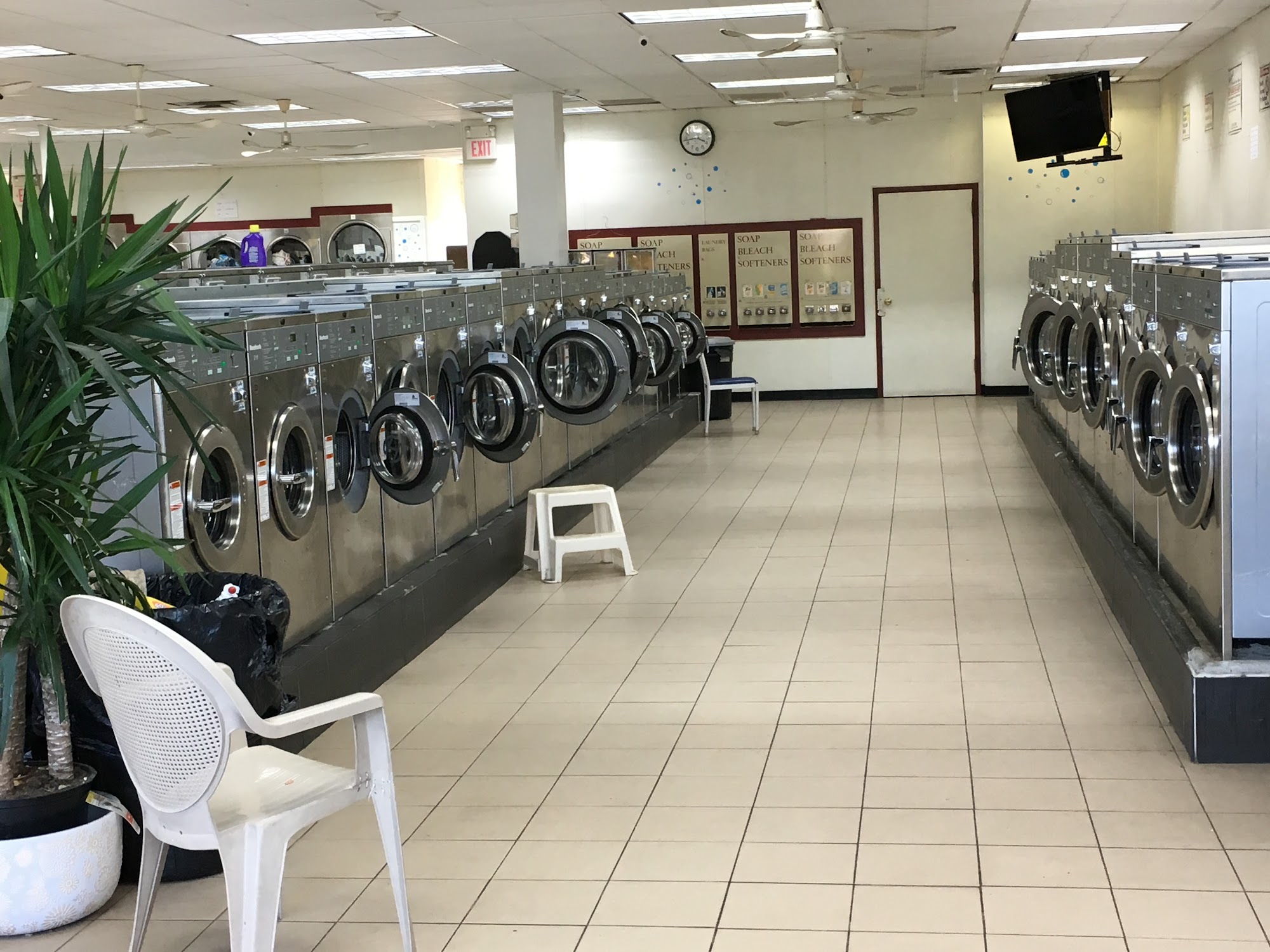 luna laundry