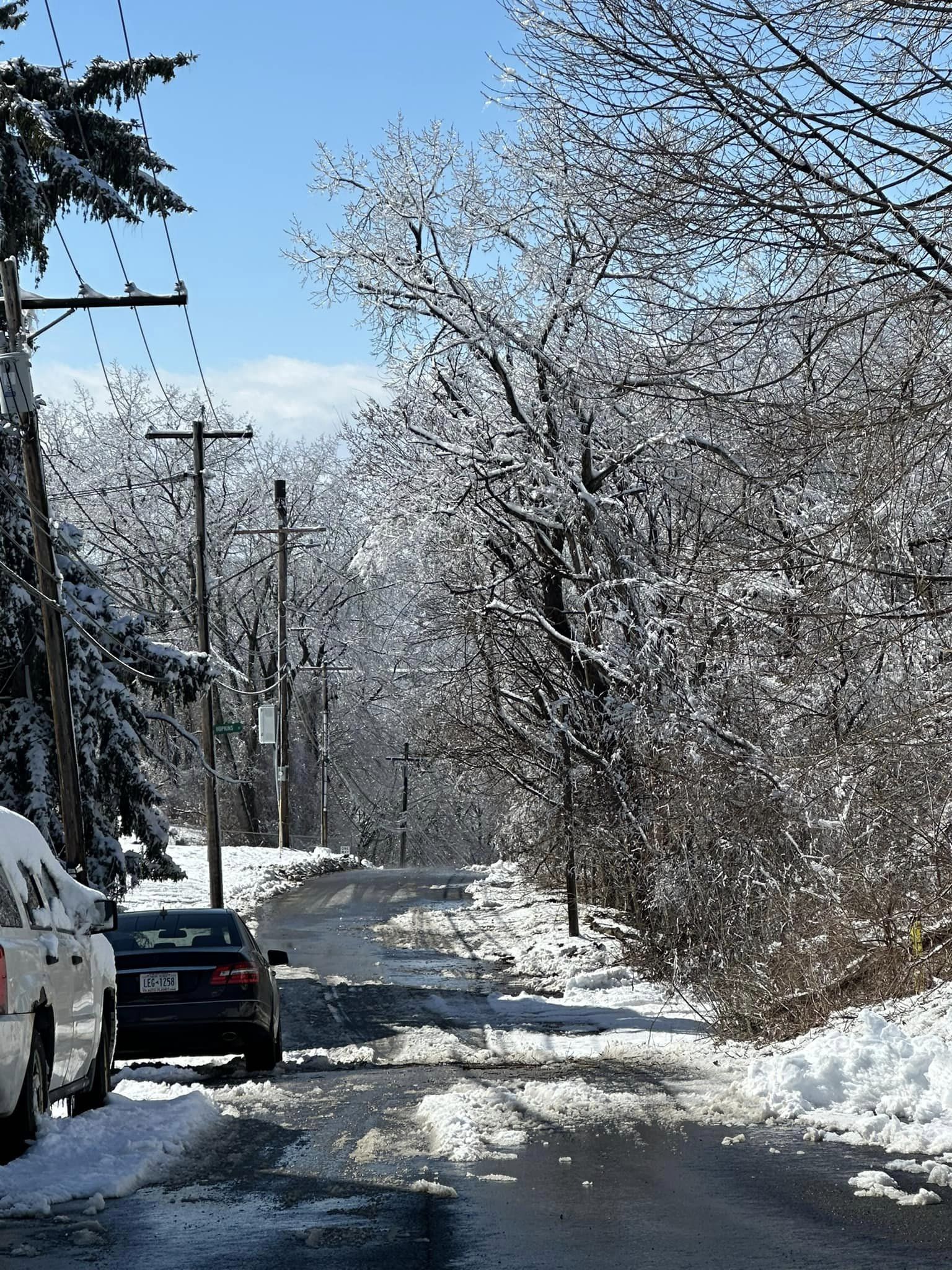 Constable Tree Service 23 Vosburgh Trailer Park, Mechanicville New York 12118