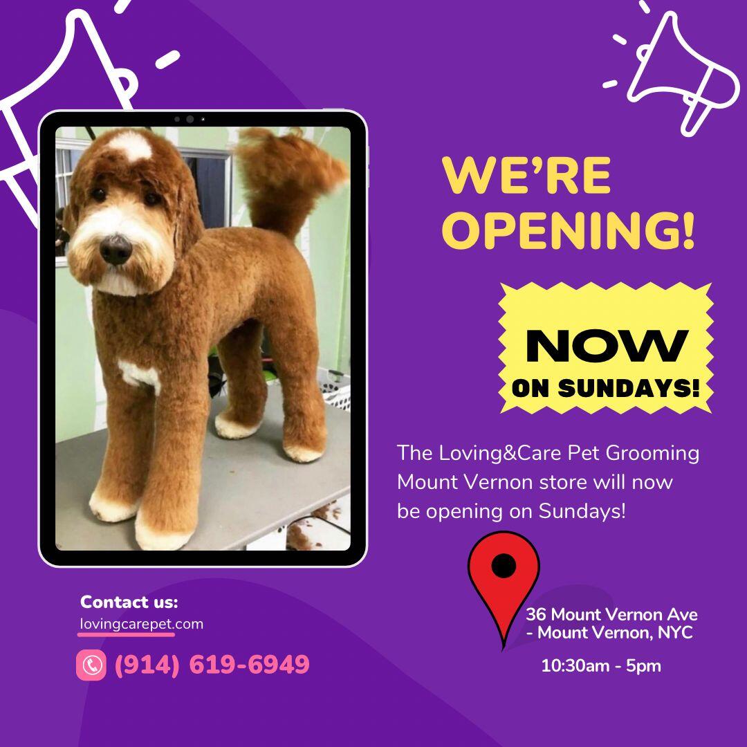 Loving and Care Pet Grooming Mt Vernon