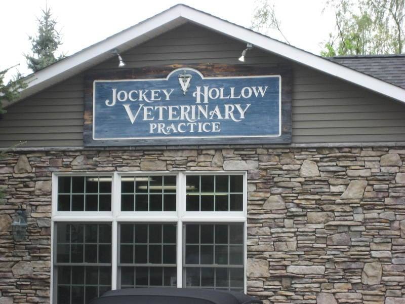 Jockey Hollow Veterinary Practice 3 Jockey Hollow Rd, New Milford New York 10959