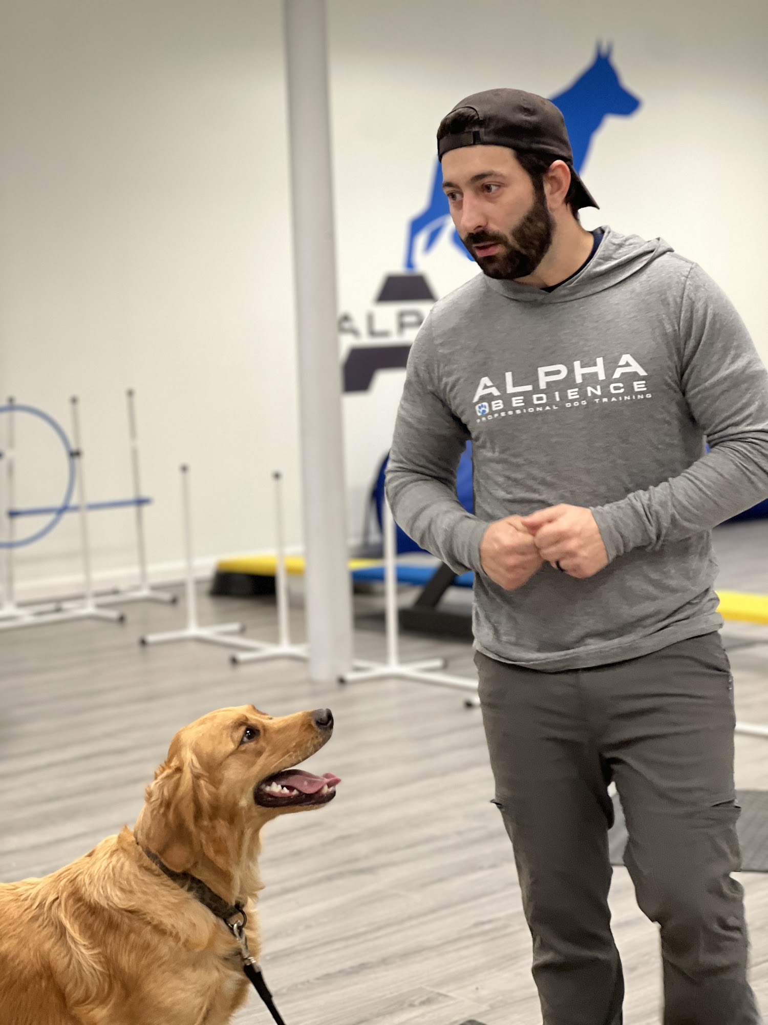 Alpha Obedience Dog Training
