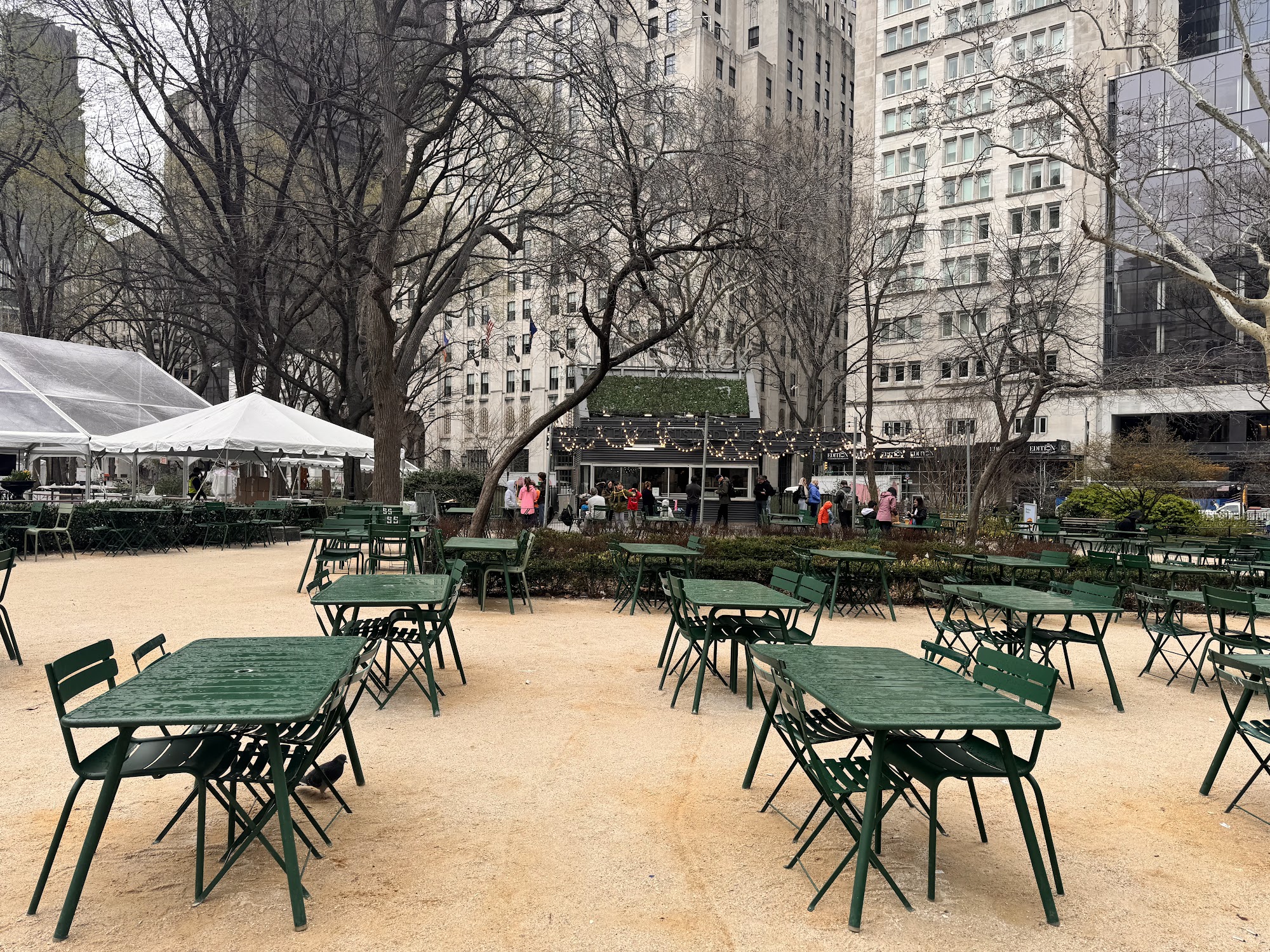 Shake Shack Madison Square Park