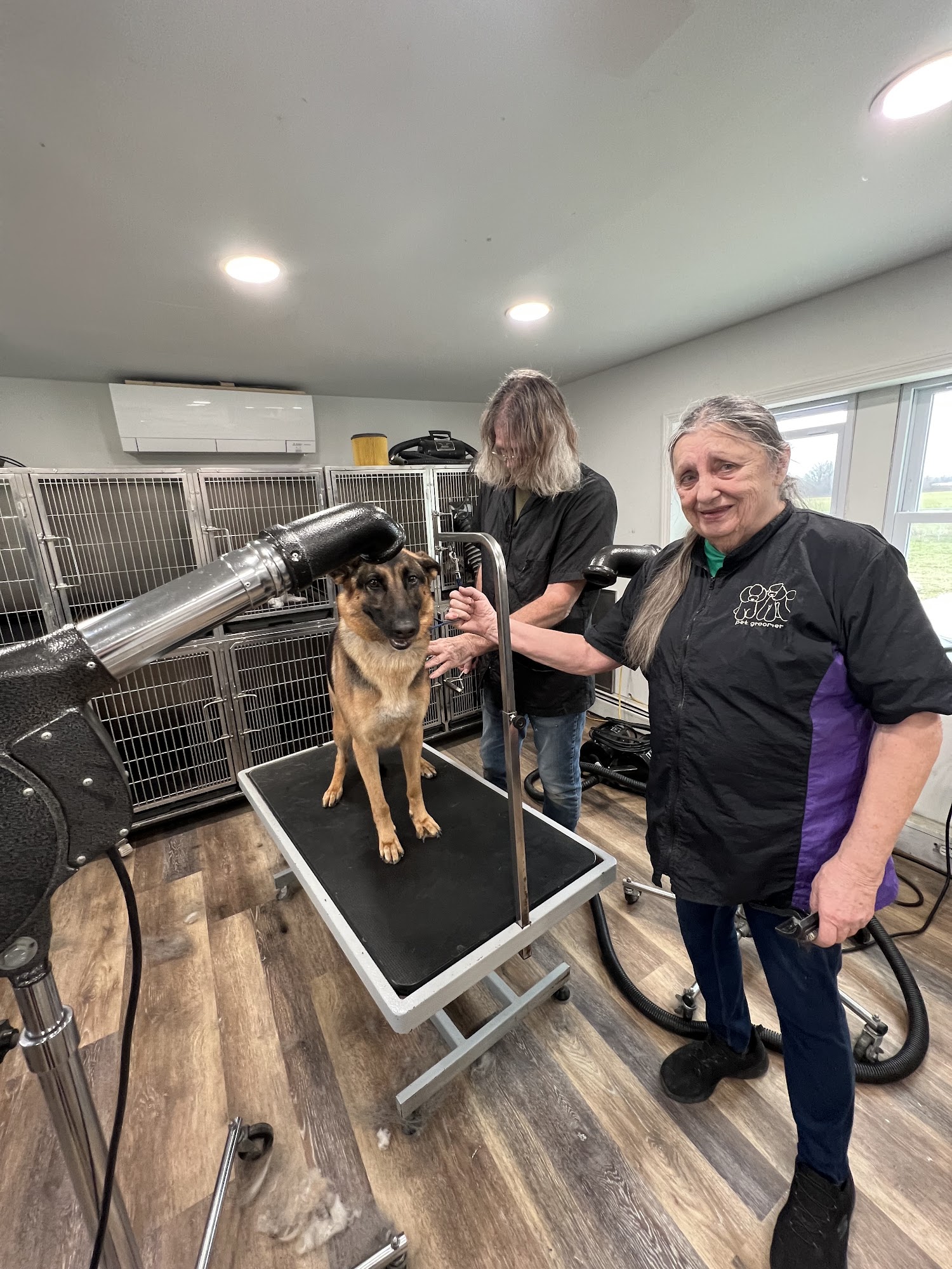 Mary's All Breed Grooming Niagara Falls