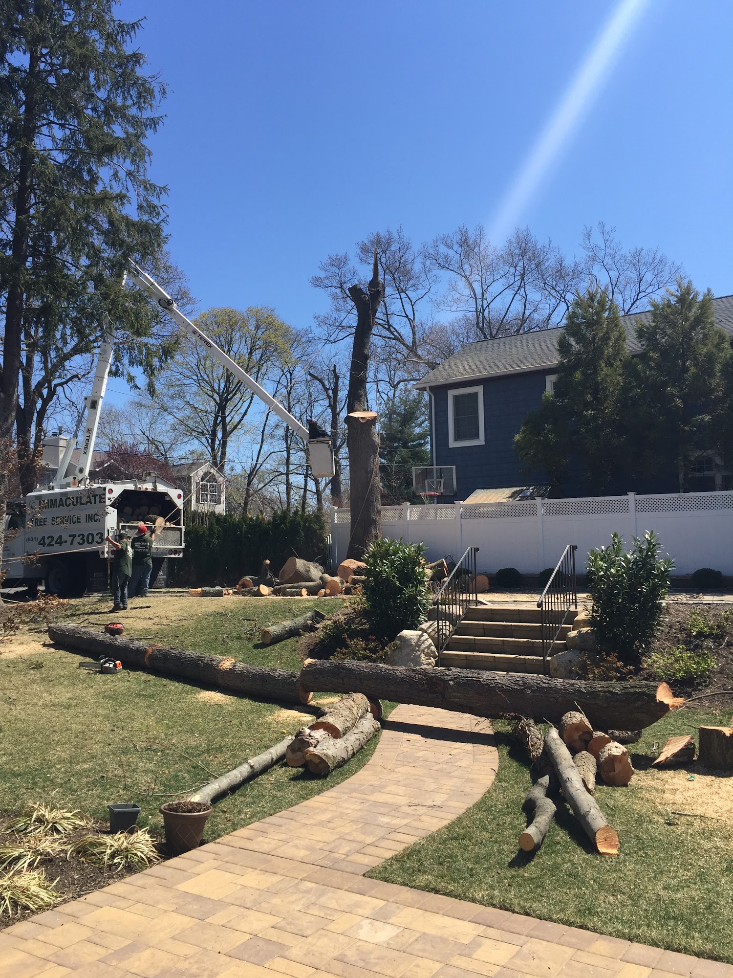 Immaculate Tree Service