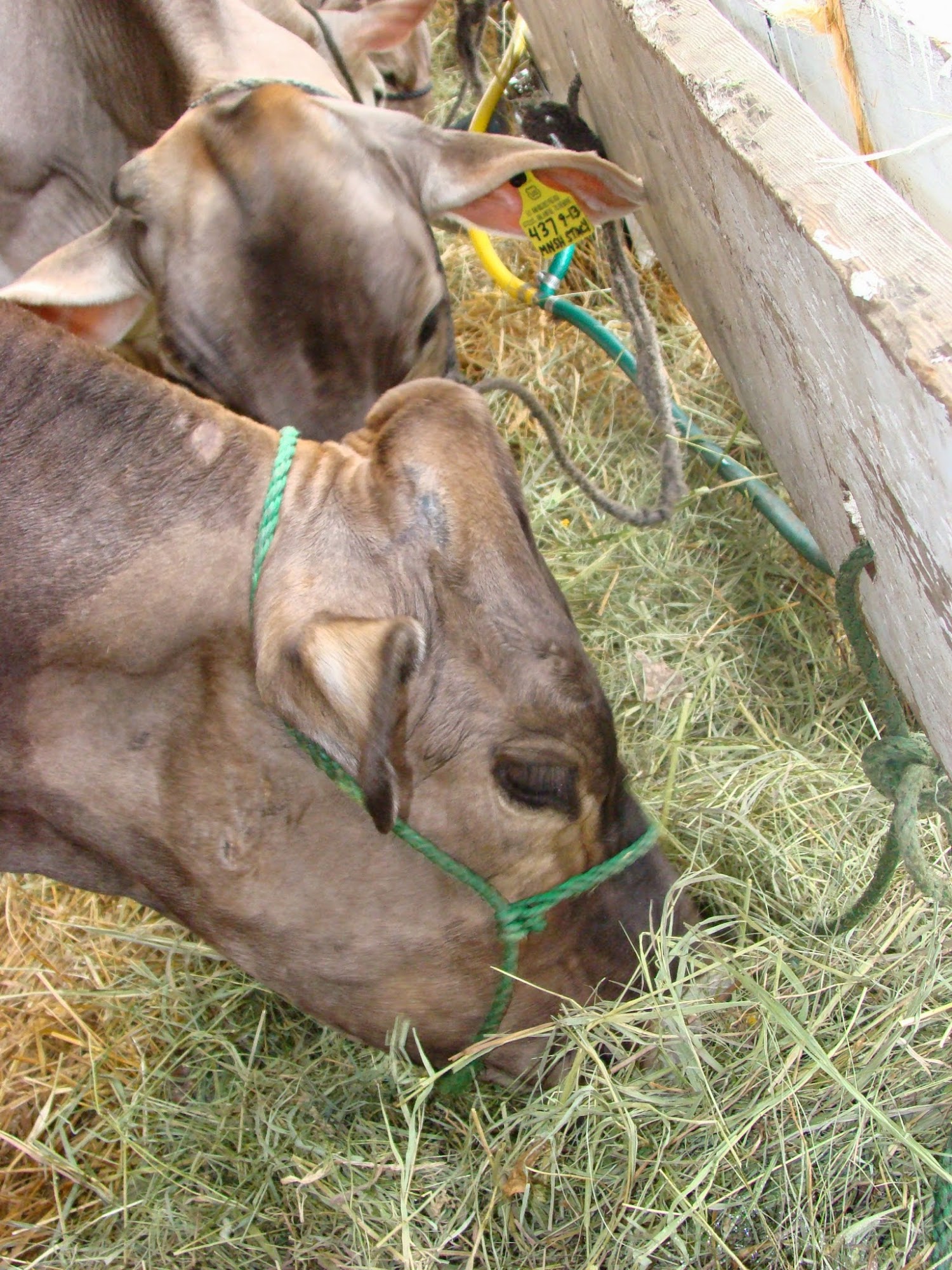 Crosswinds Farm & Creamery -Ovid Self-Serve Farmstand 6762 Log City Rd, Ovid New York 14521