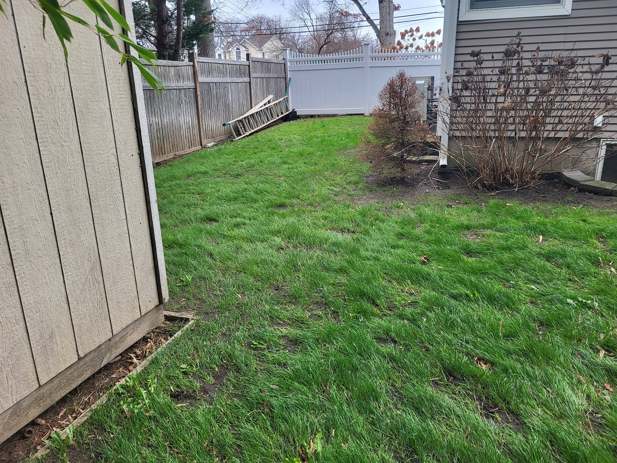 4 Season Lawn Maintenance