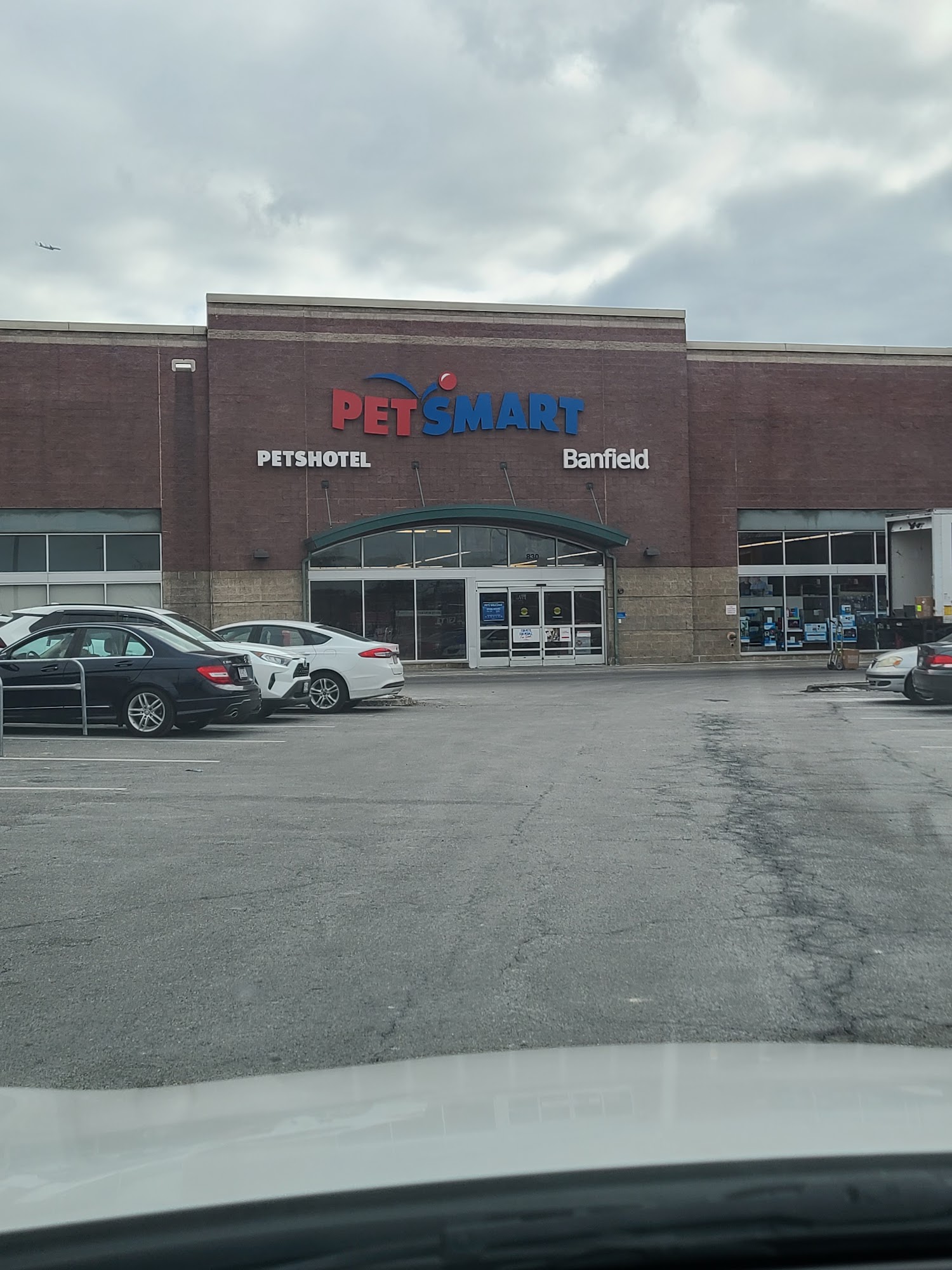 PetSmart Grooming