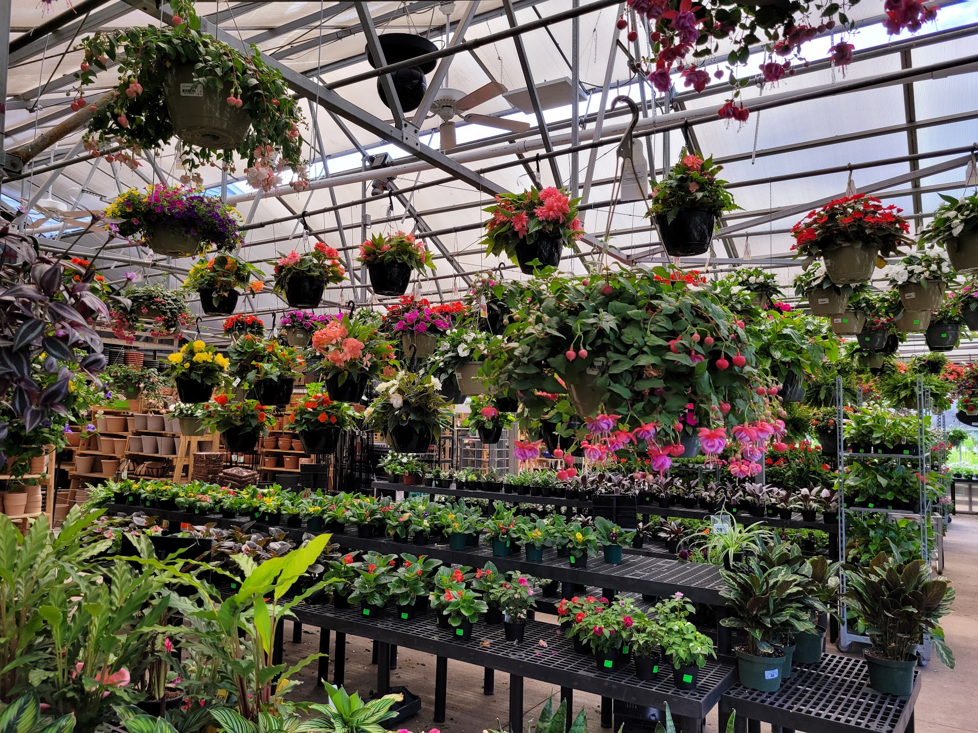 Gallea's Florist & Greenhouse