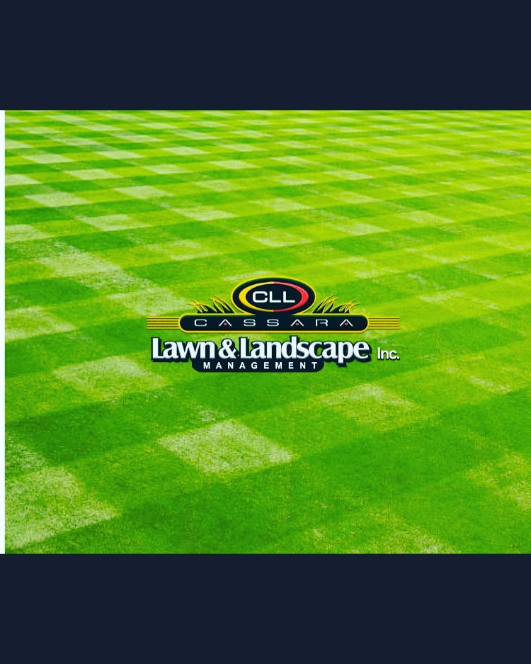 Cassara Lawn & Landscape Management INC