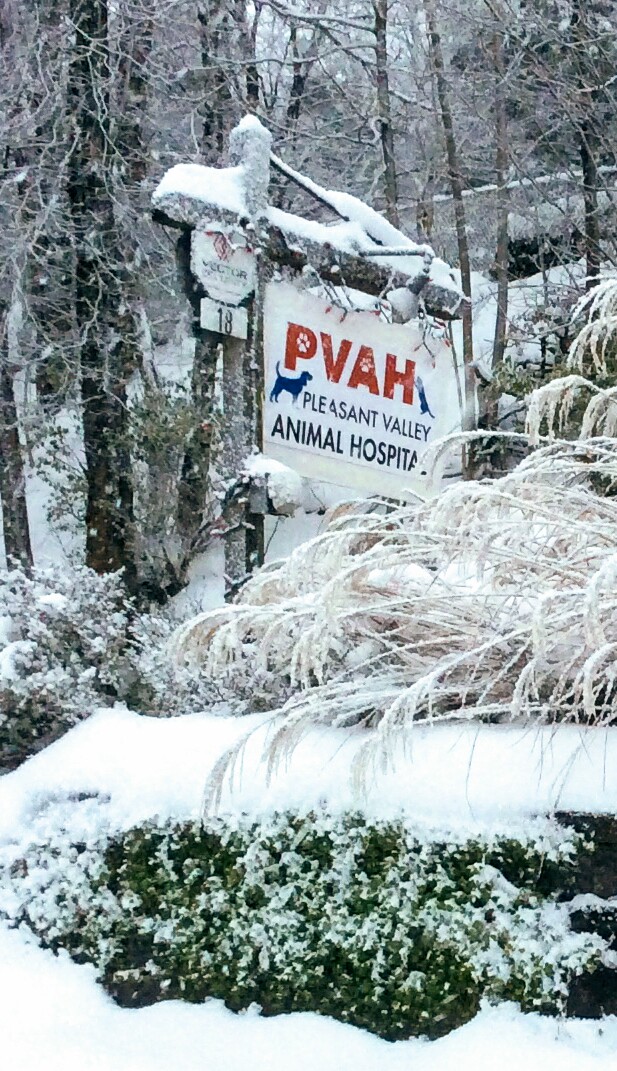 Pleasant Valley Animal Hospital