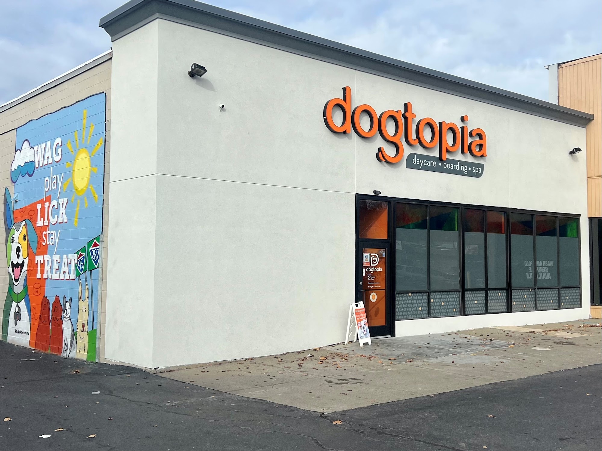 Dogtopia of Port Chester