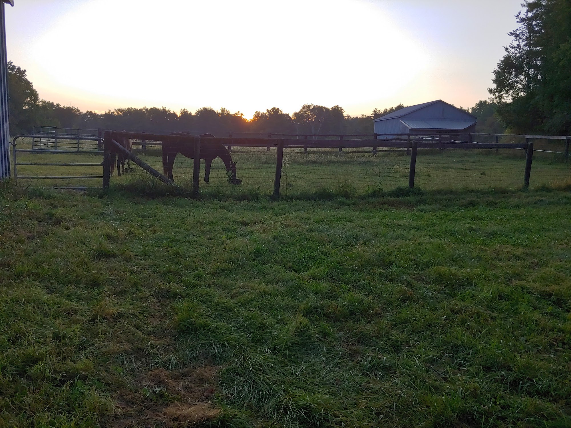 Equine Clinic At Oakencroft