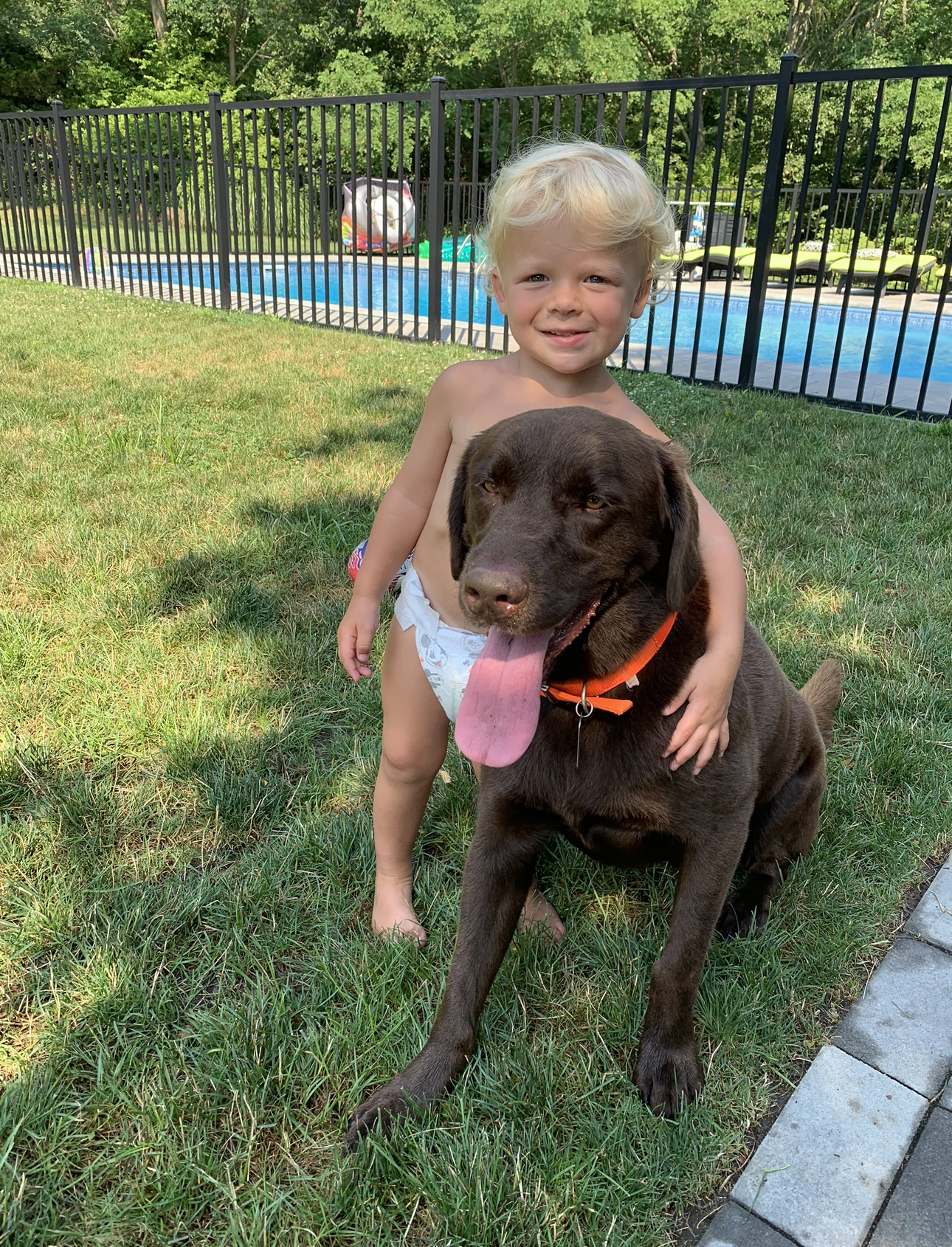 Aquebogue Veterinary Hospital Riverhead