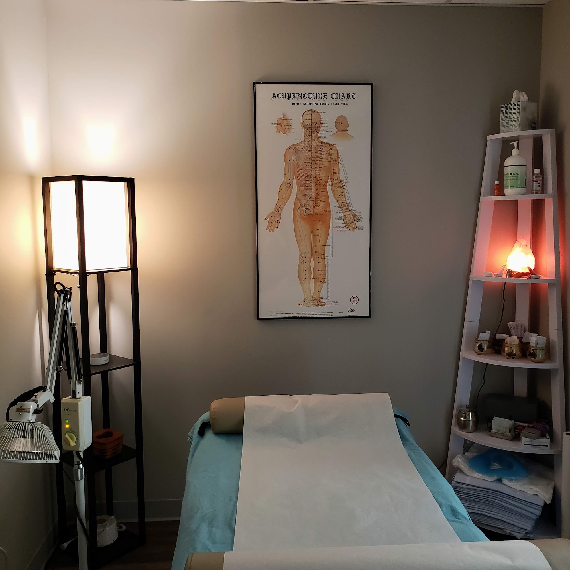 Healing Points Acupuncture & Wellness Center, Dr. Michelle Iona, DACM, L.Ac.