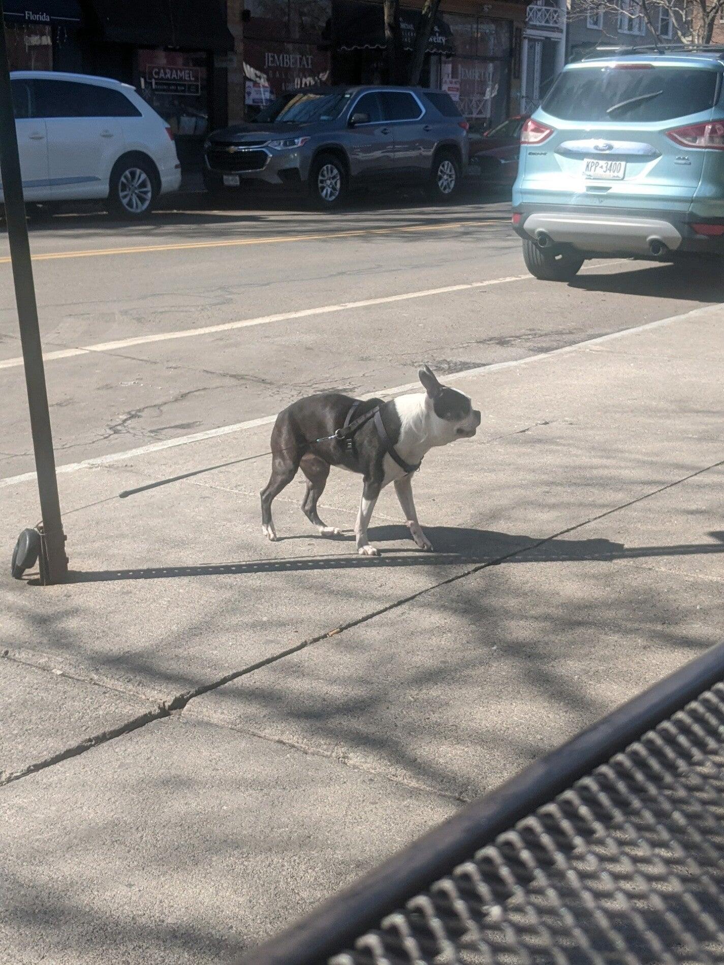 Photo credit: nextdoor