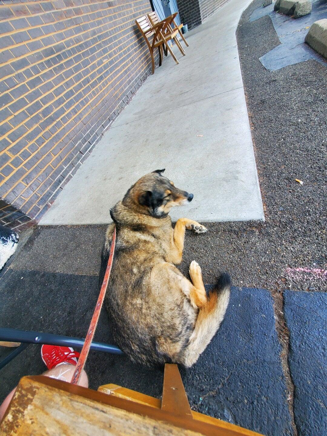 Photo credit: nextdoor