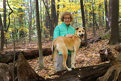 Spots Dog Grooming Rochester