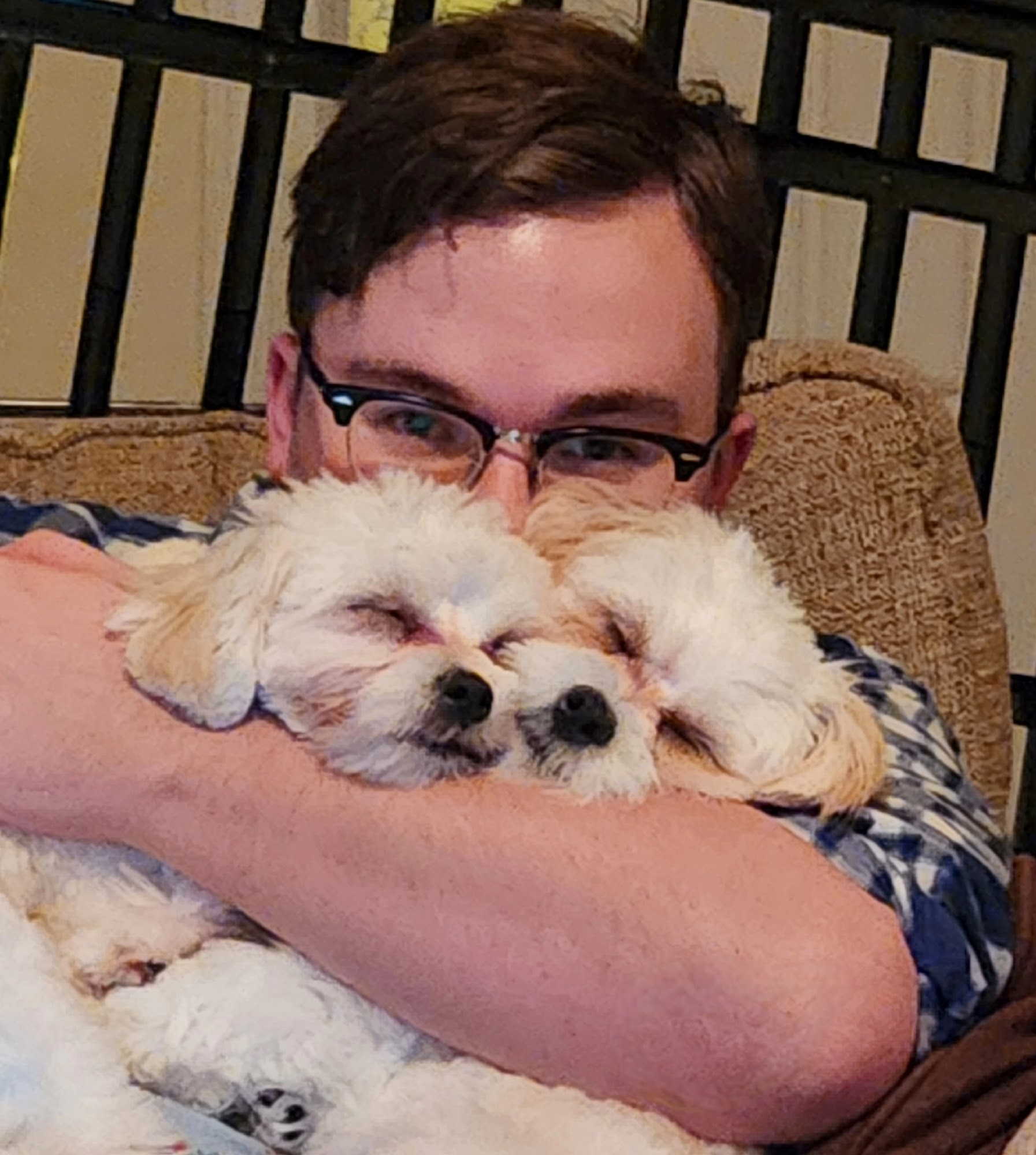 Animal Behavior Specialists, Inc.'s Rochester