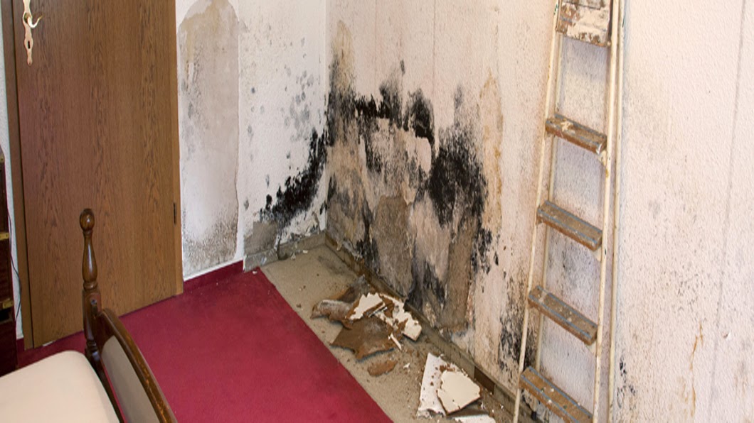 Specialized Cleaning And Flood Restoration Inc