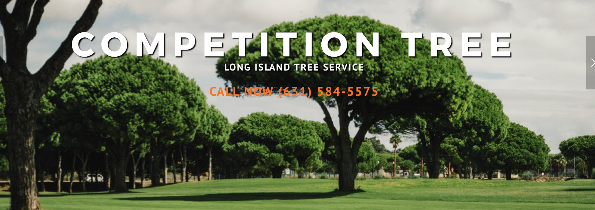 Competition Tree Service