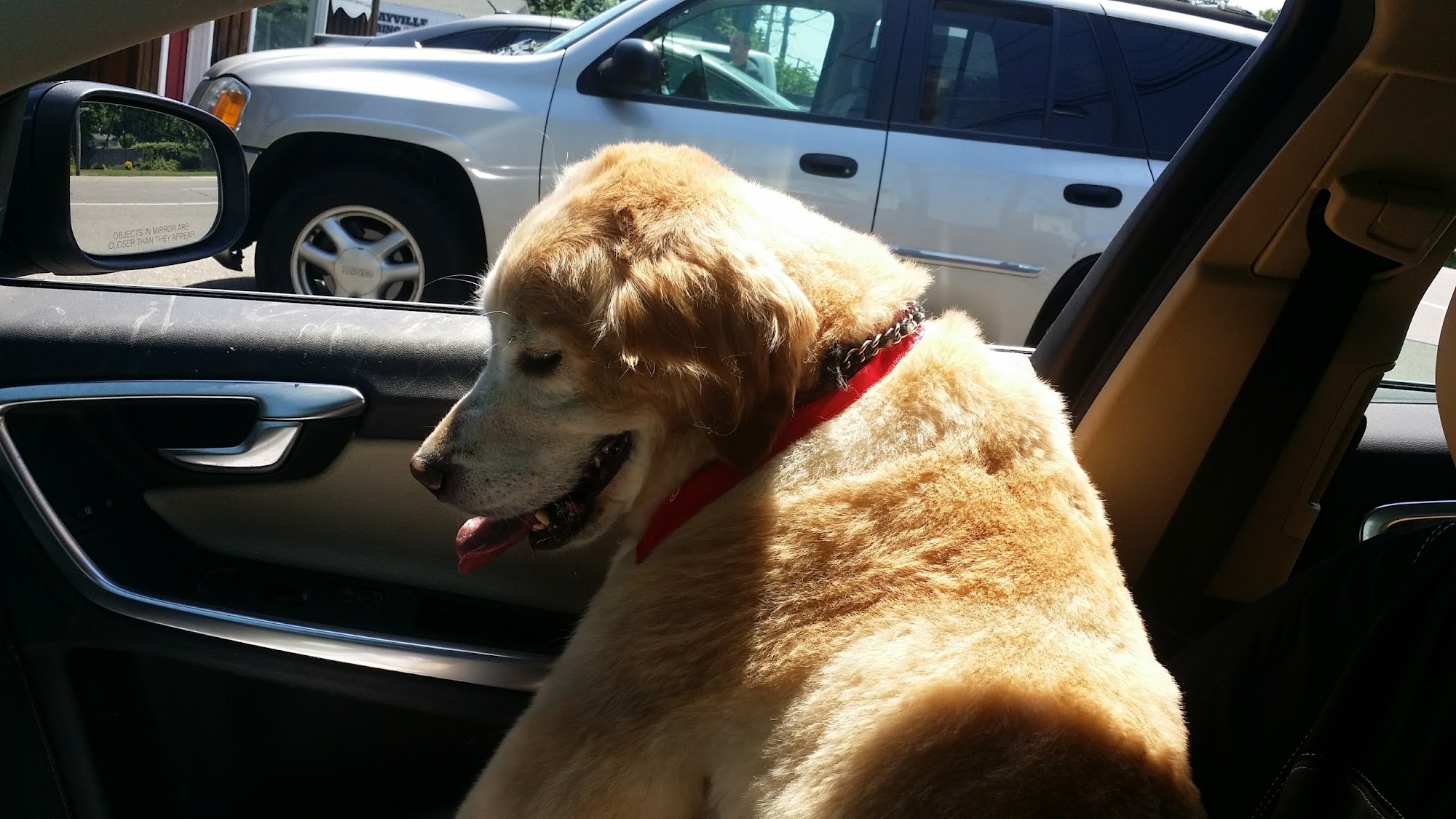 Carol's Pet Grooming Salon Sayville
