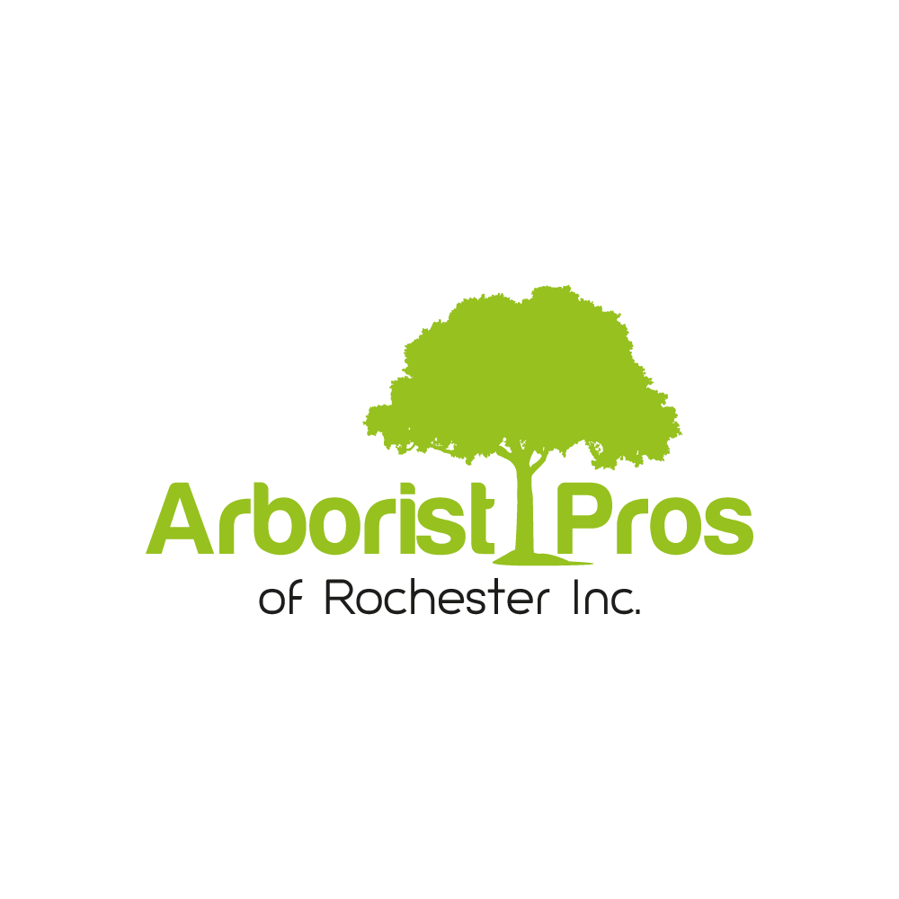 Arborist Pros of Rochester 3721 Scottsville Rd, Scottsville New York 14546