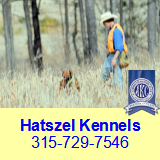 Photo credit: 