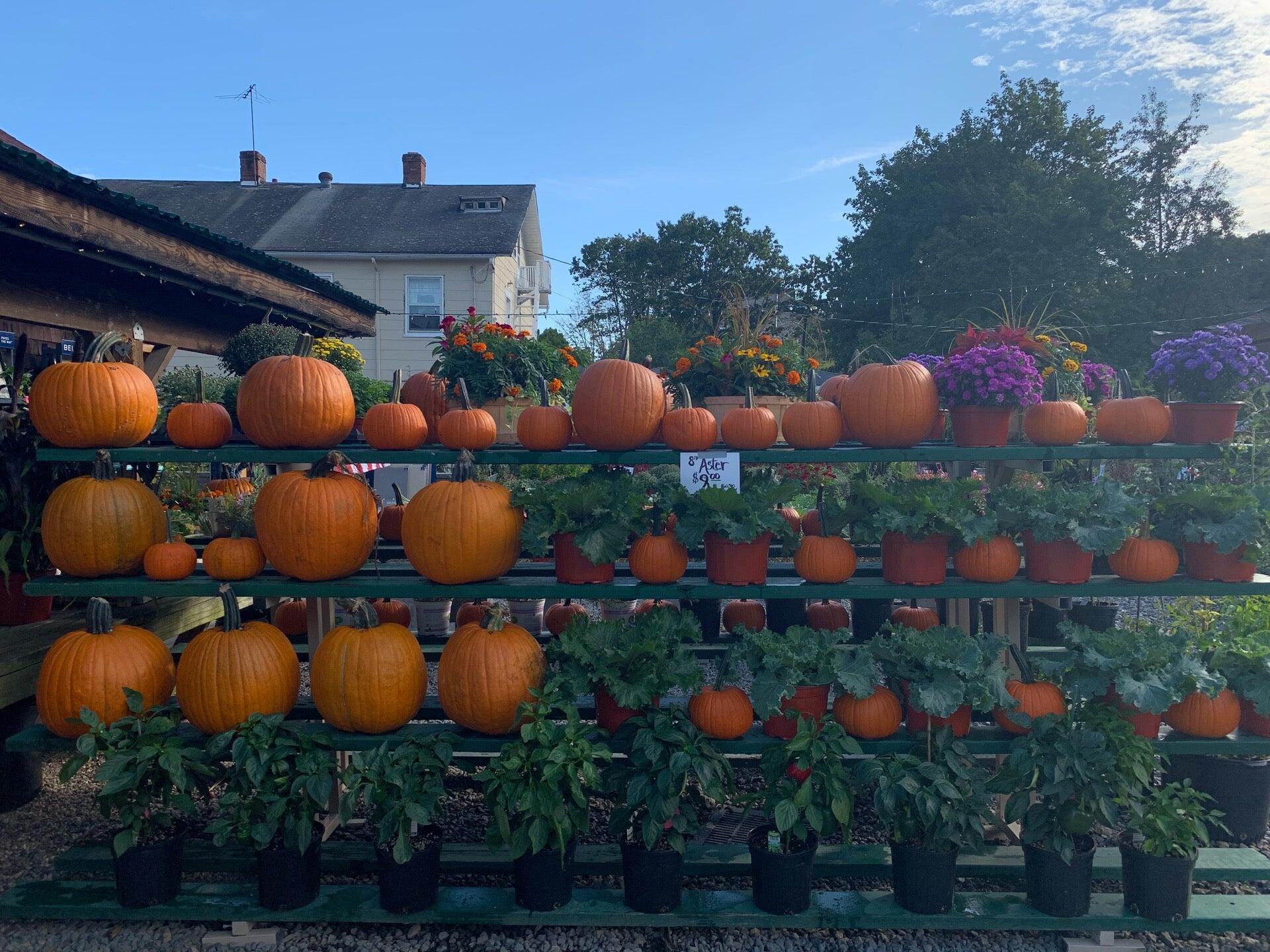 Sloatsburg Nursery 185 Orange Turnpike, Sloatsburg New York 10974