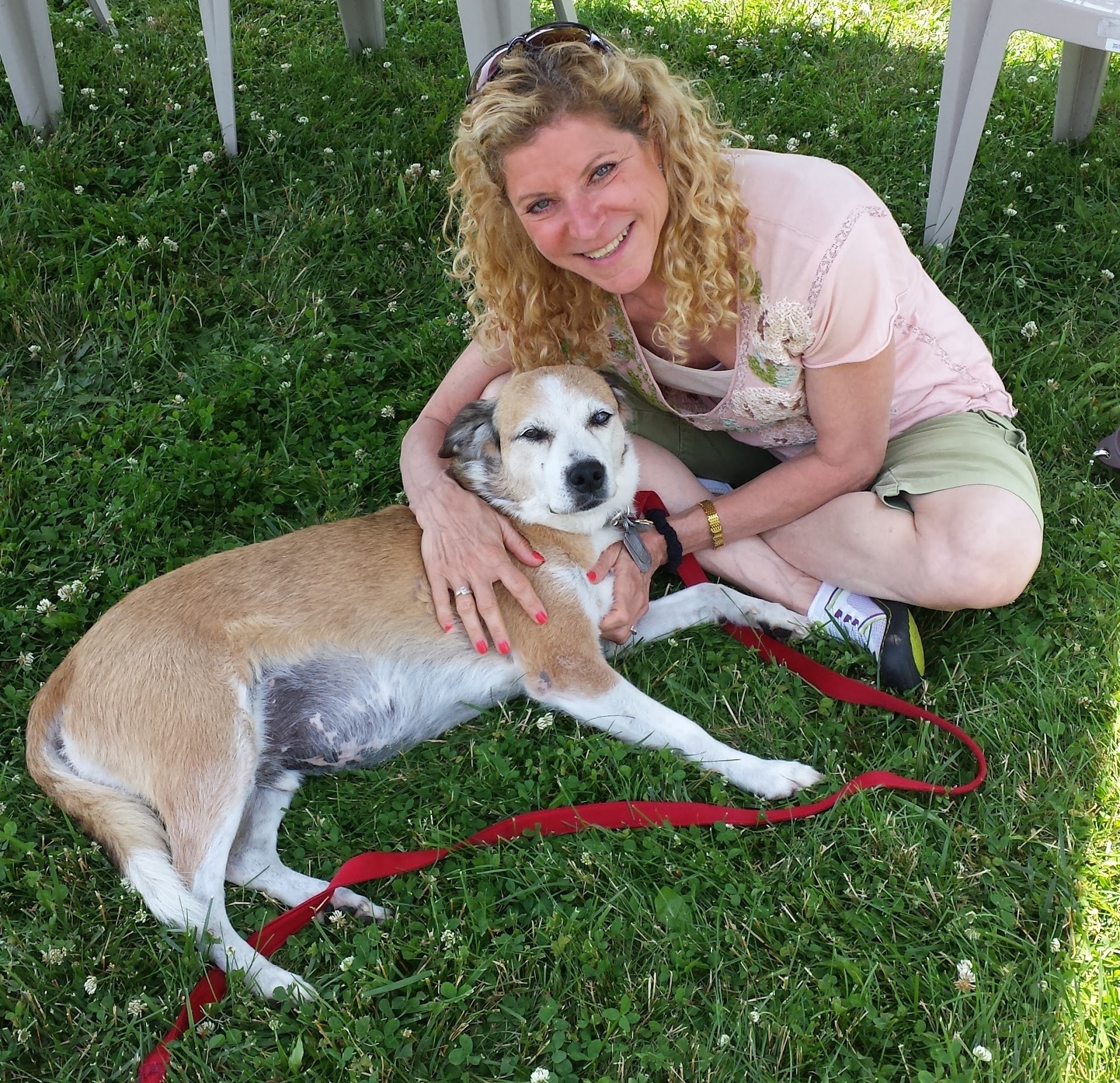 North Fork School for Dogs Southold