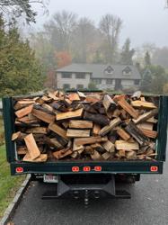 Rockland Tree Services