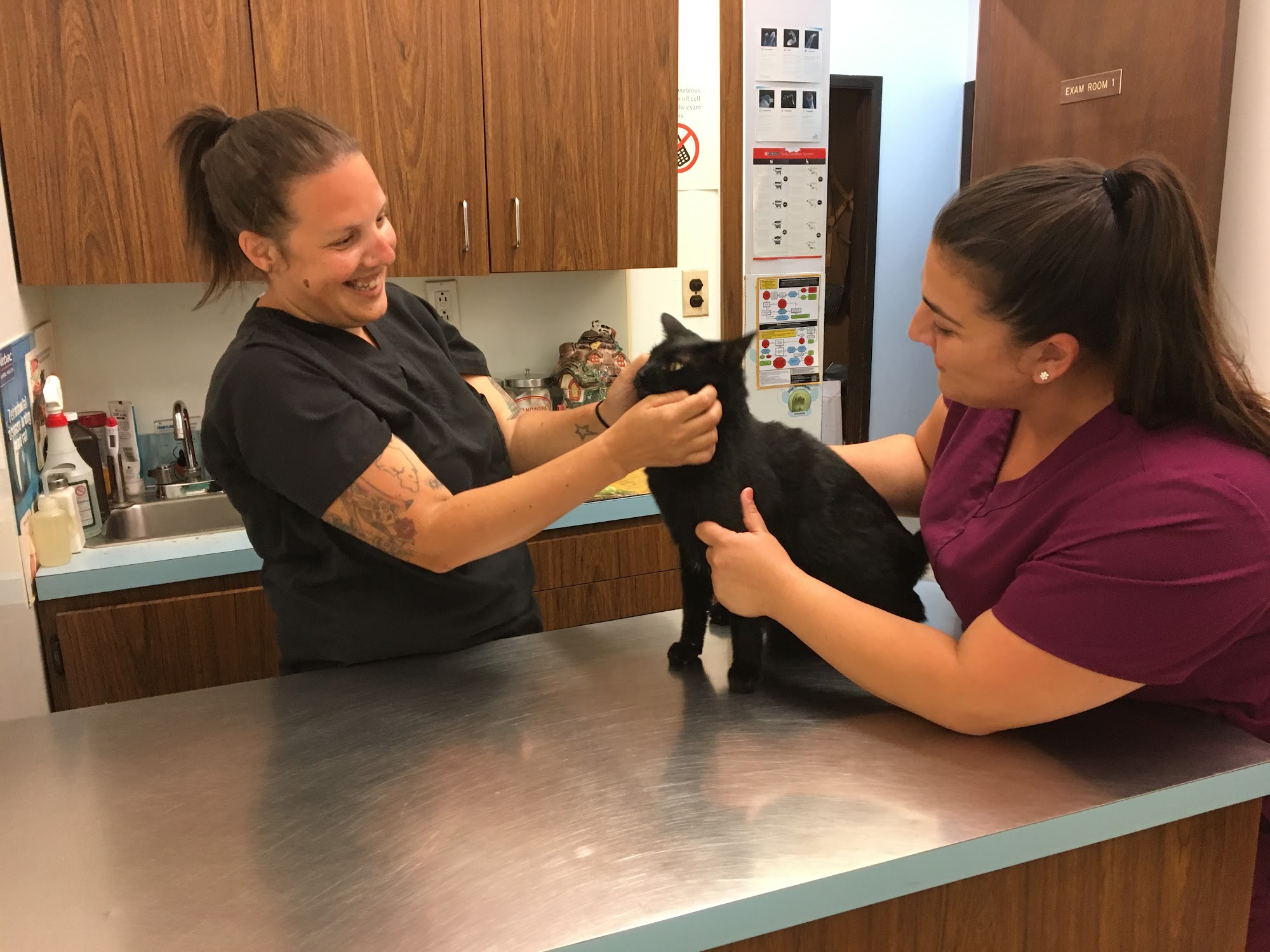 Annadale Veterinary Clinic