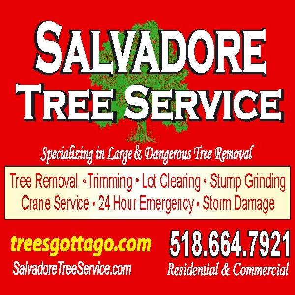Salvadore Tree Service 1260 Hudson Ave, Stillwater New York 12170