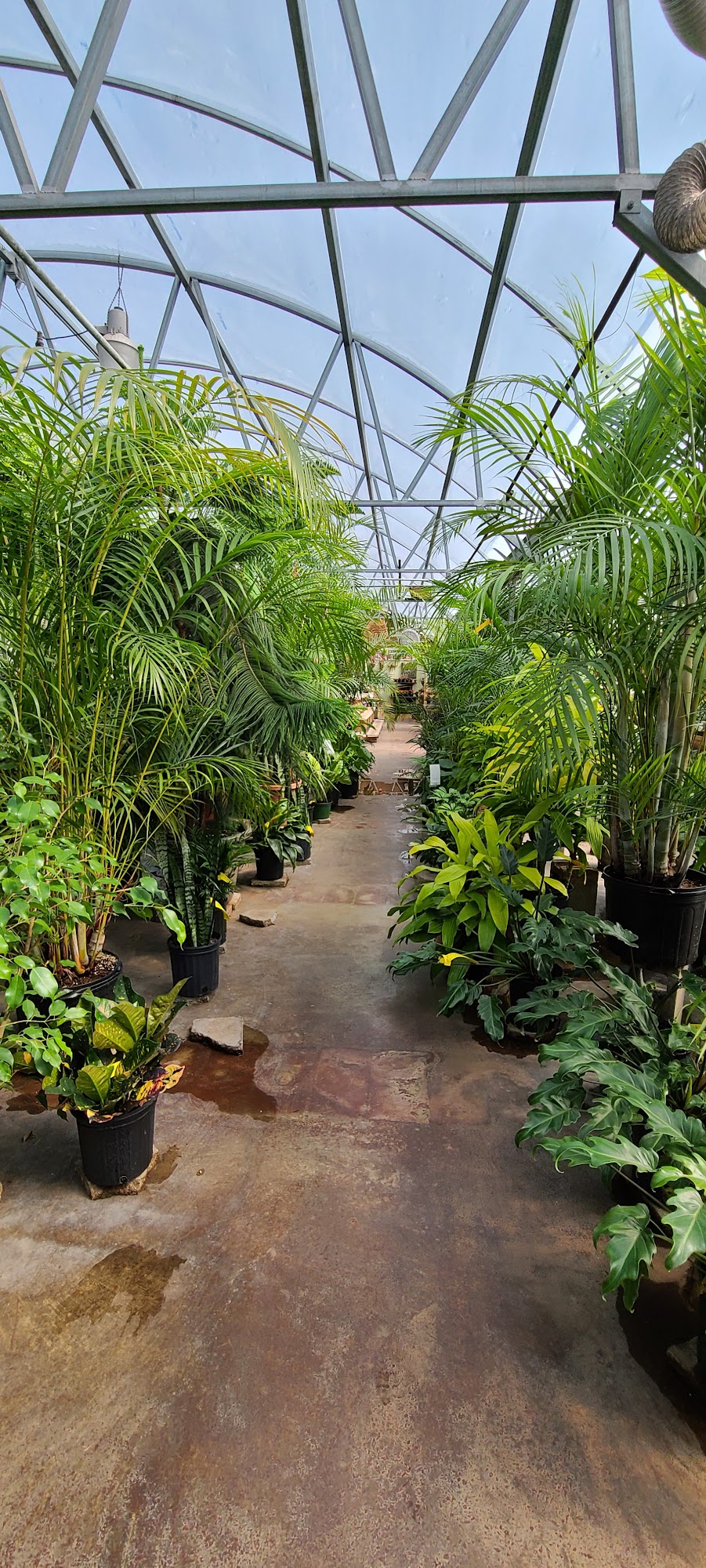 Chester's Flower Shop and Greenhouses