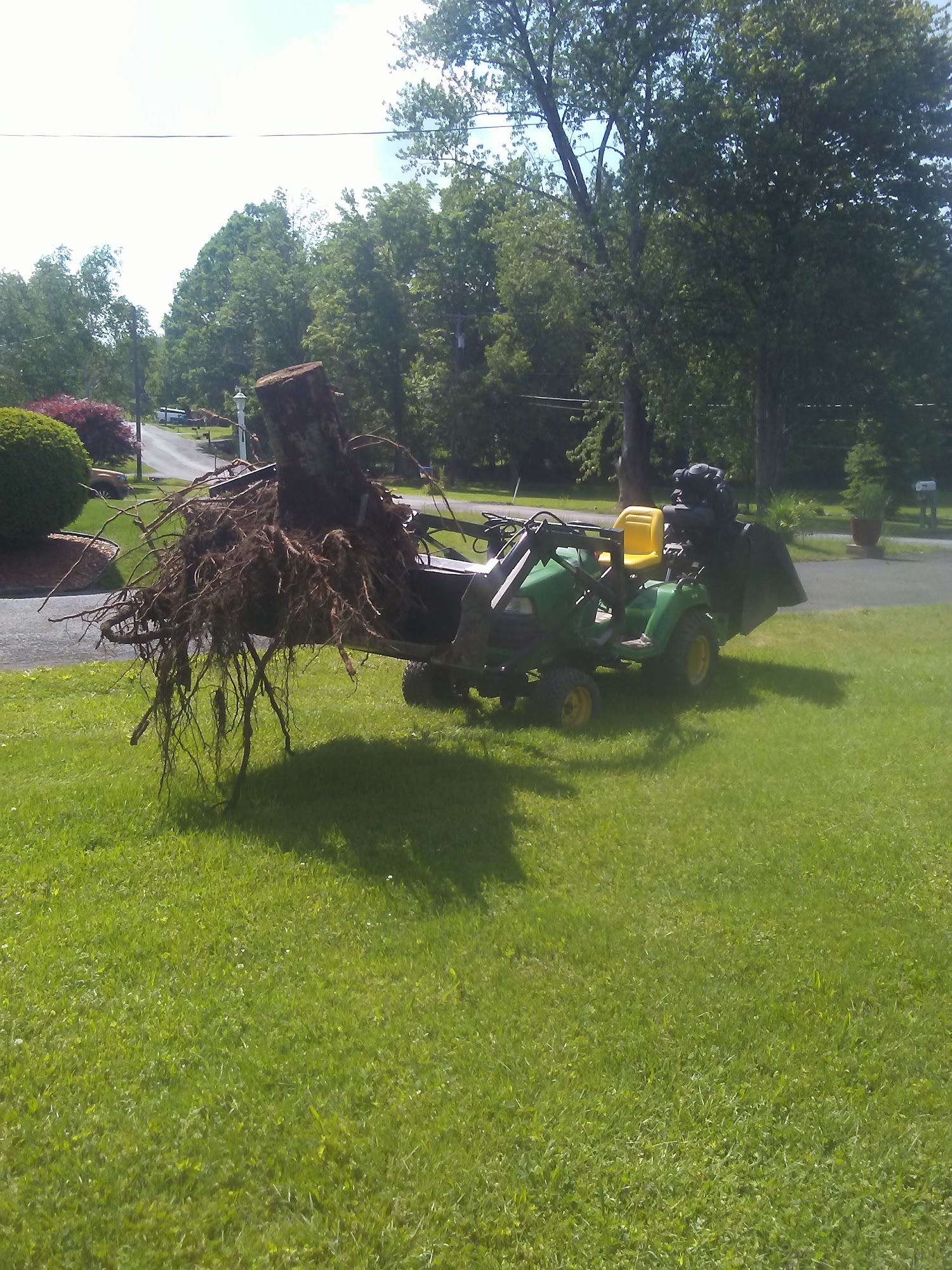 Timberland Tree Service